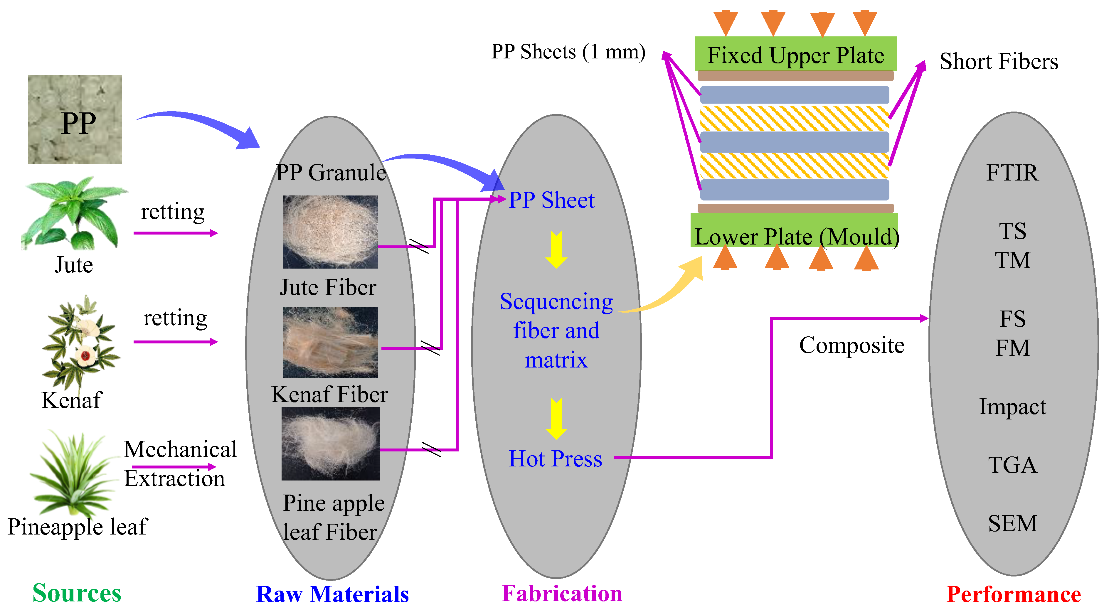 Polymers 15 00830 g002