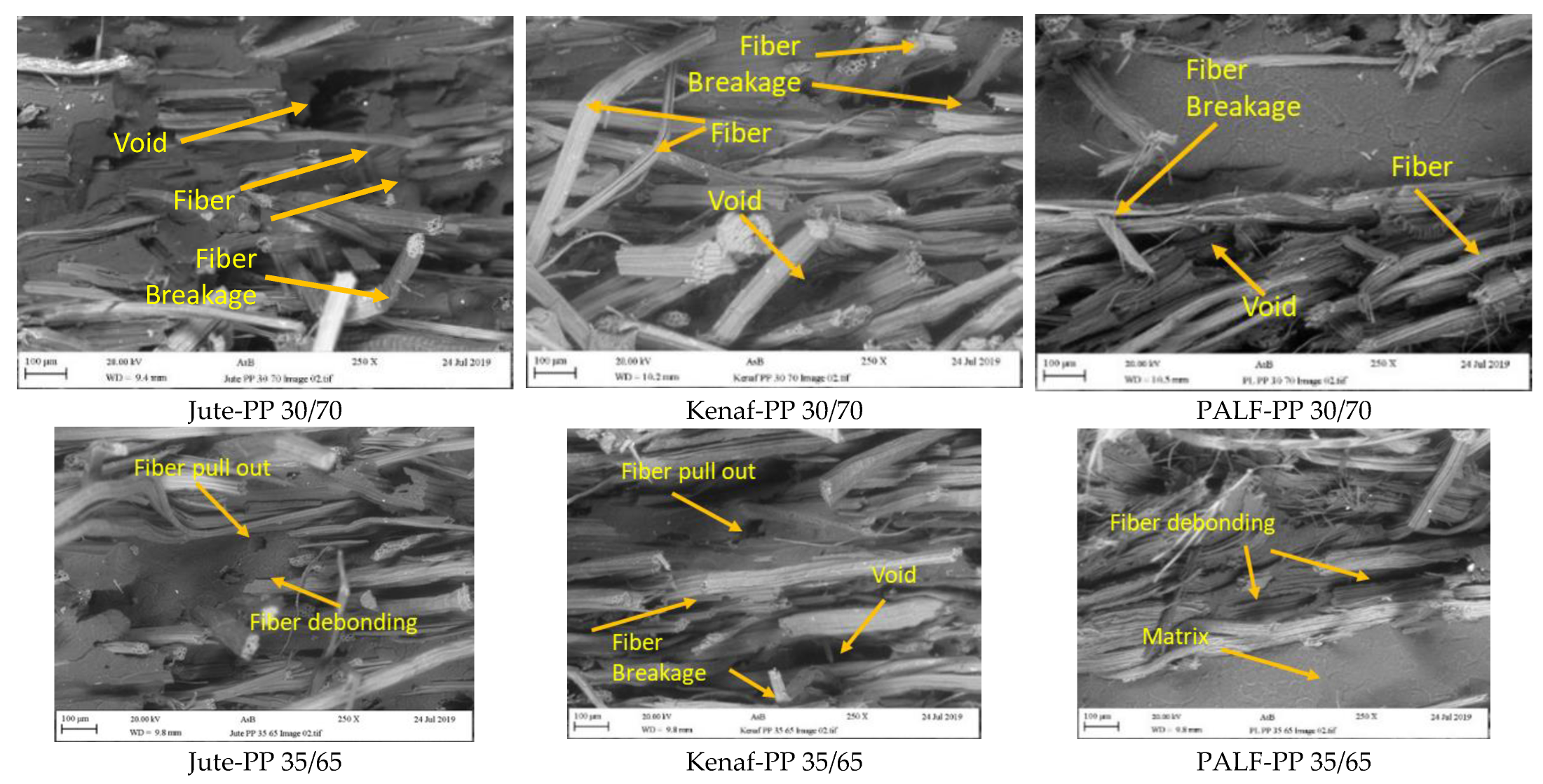 Polymers 15 00830 g012a