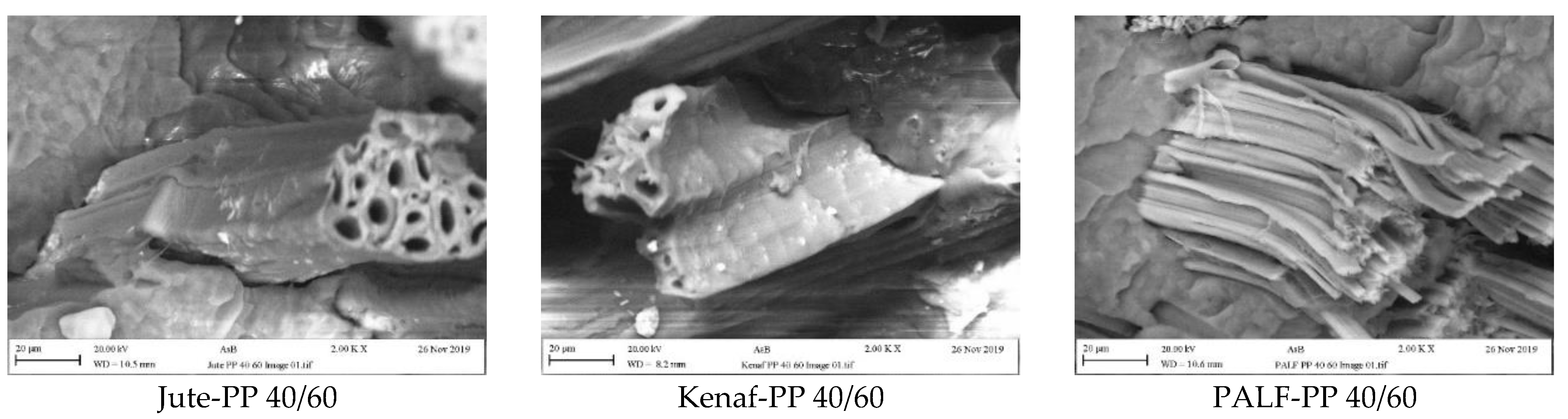 Polymers 15 00830 g013b