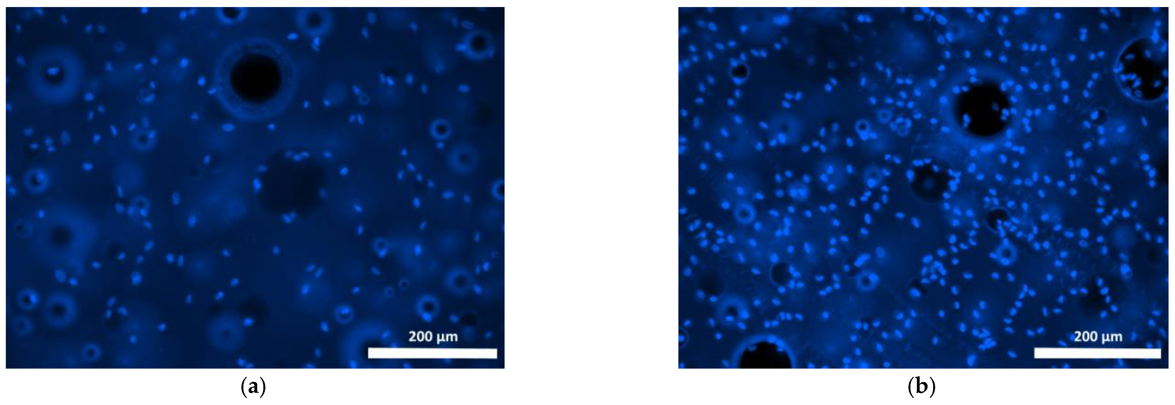 Polymers 15 00831 g005