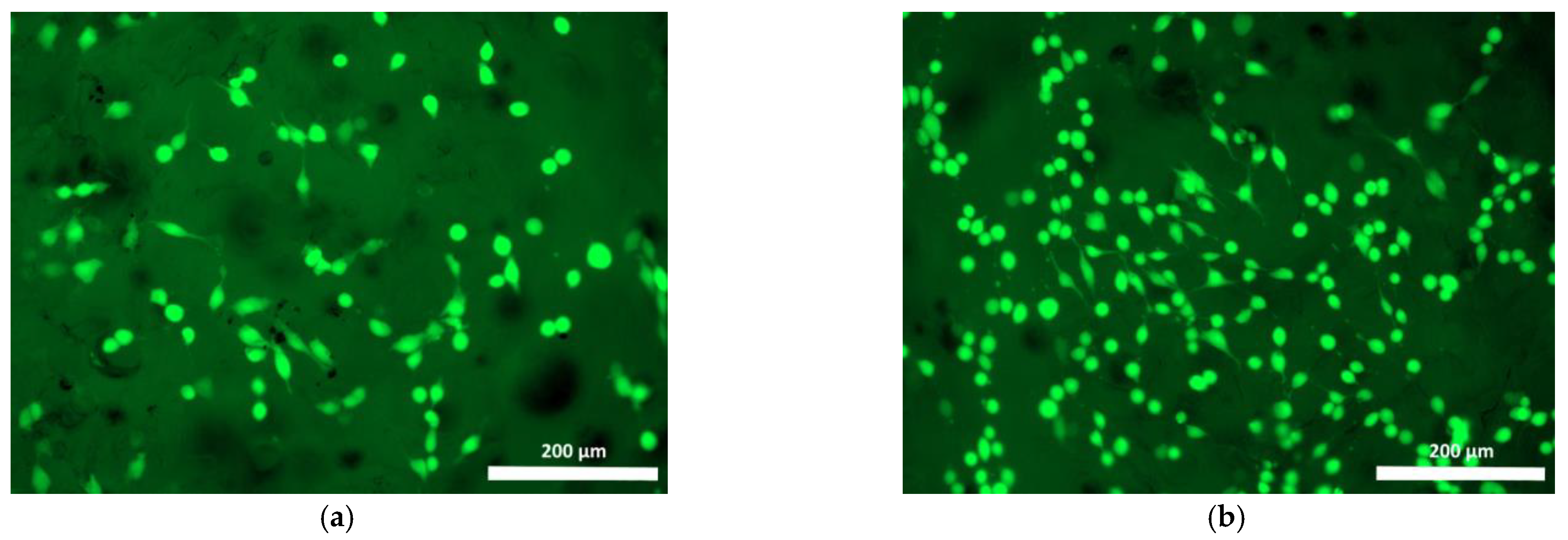 Polymers 15 00831 g006