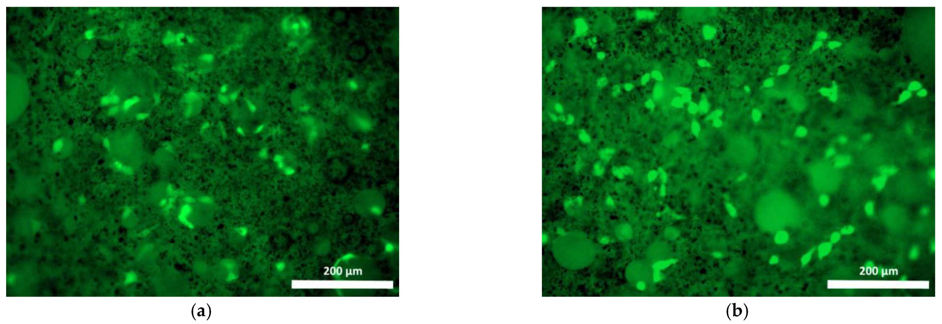 Polymers 15 00831 g008
