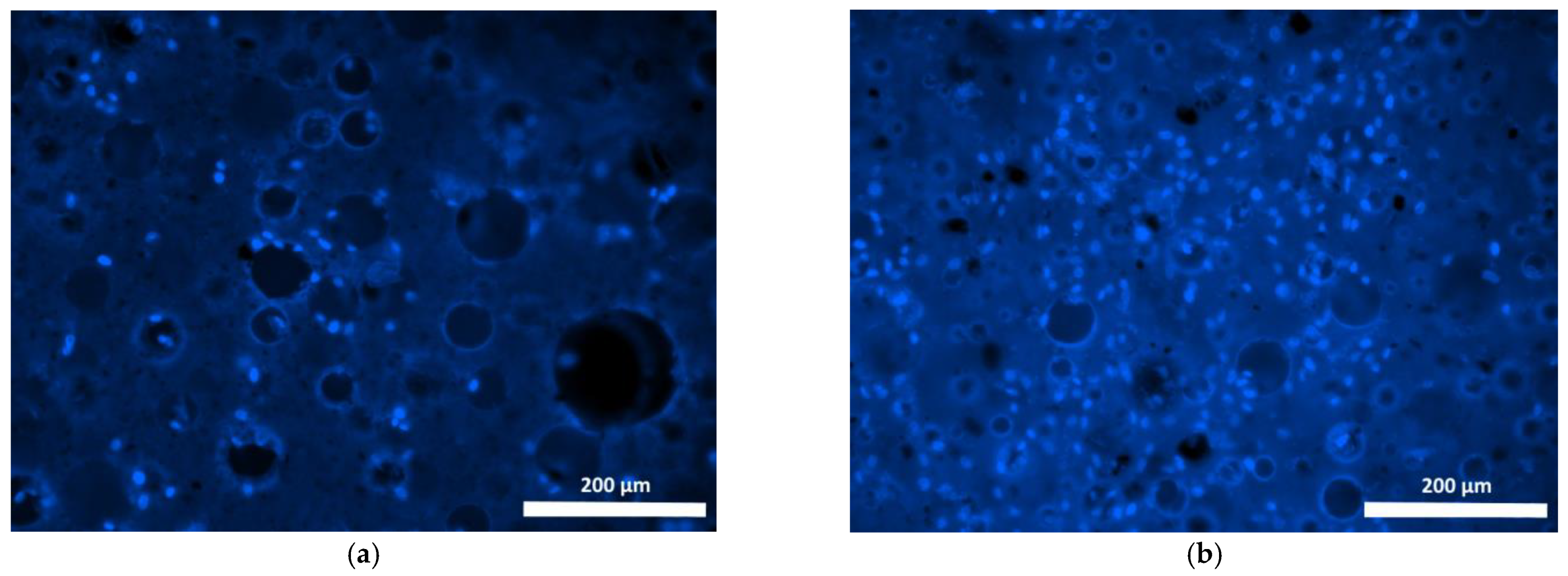Polymers 15 00831 g009