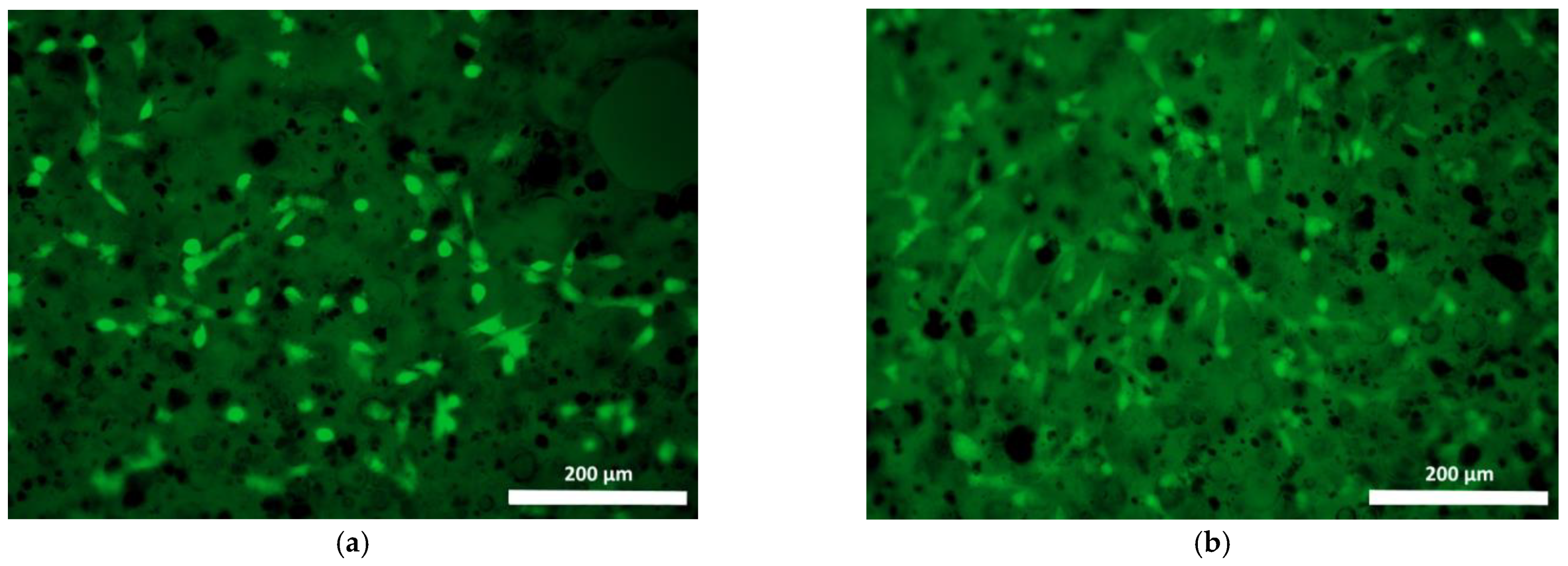 Polymers 15 00831 g010