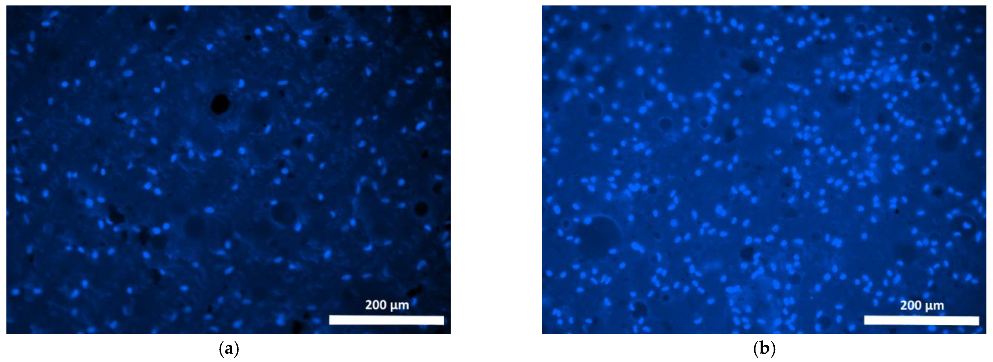 Polymers 15 00831 g011