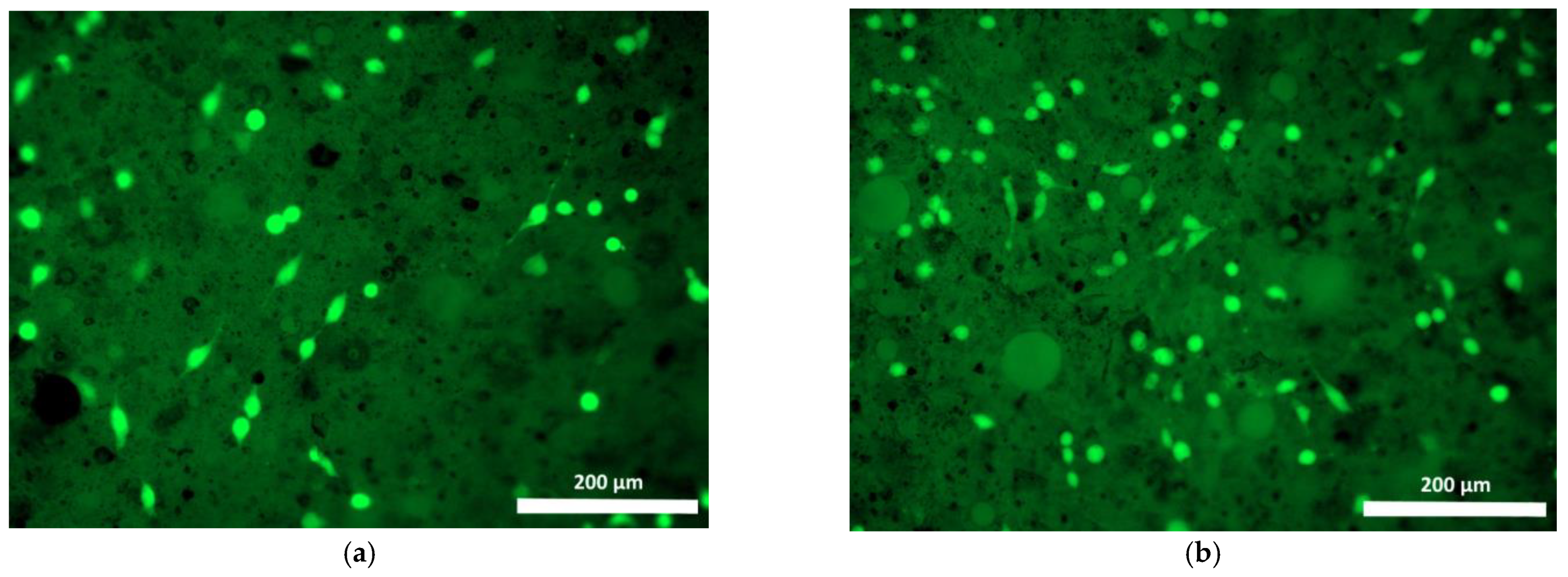 Polymers 15 00831 g012