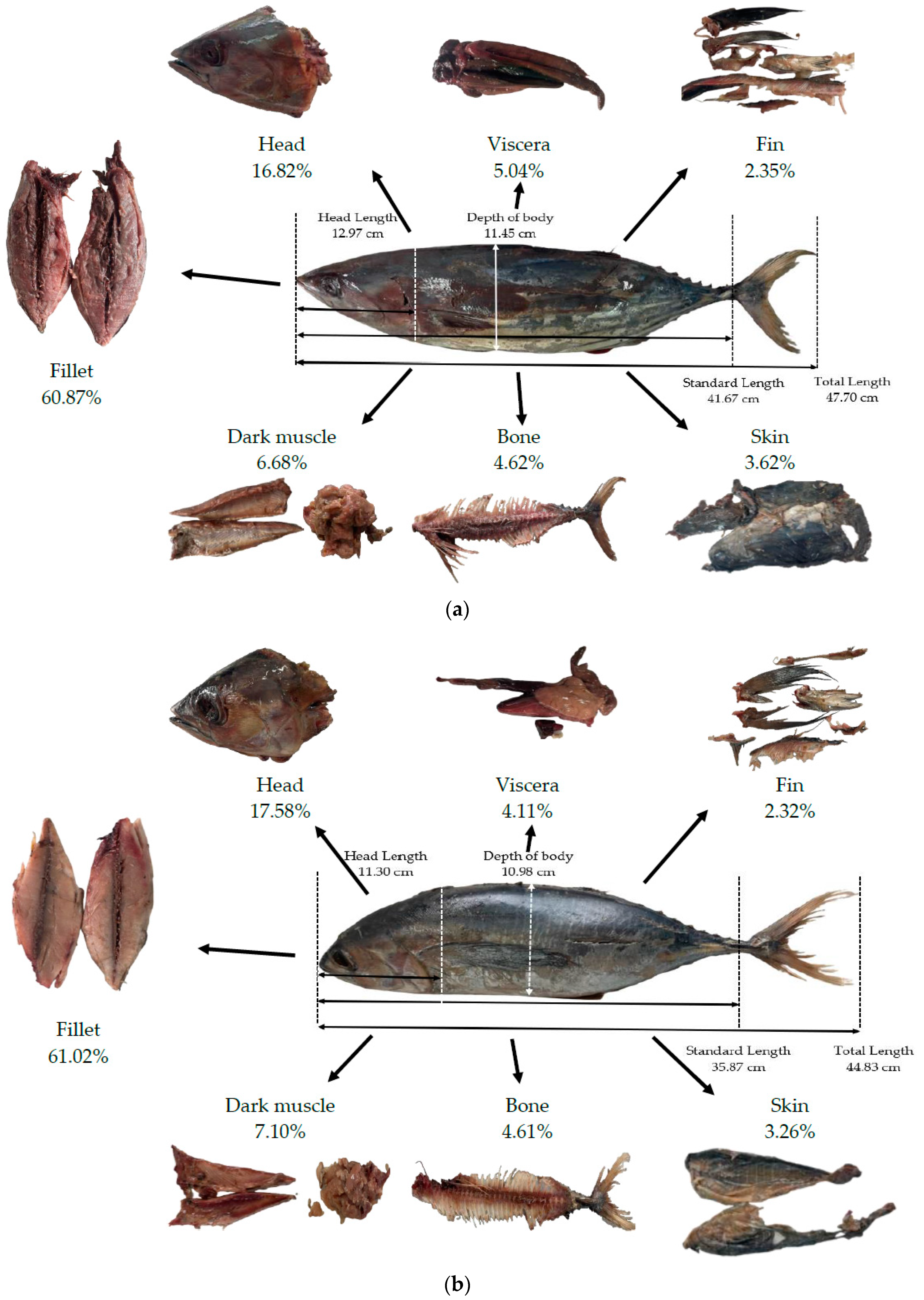Polymers 15 00834 g001