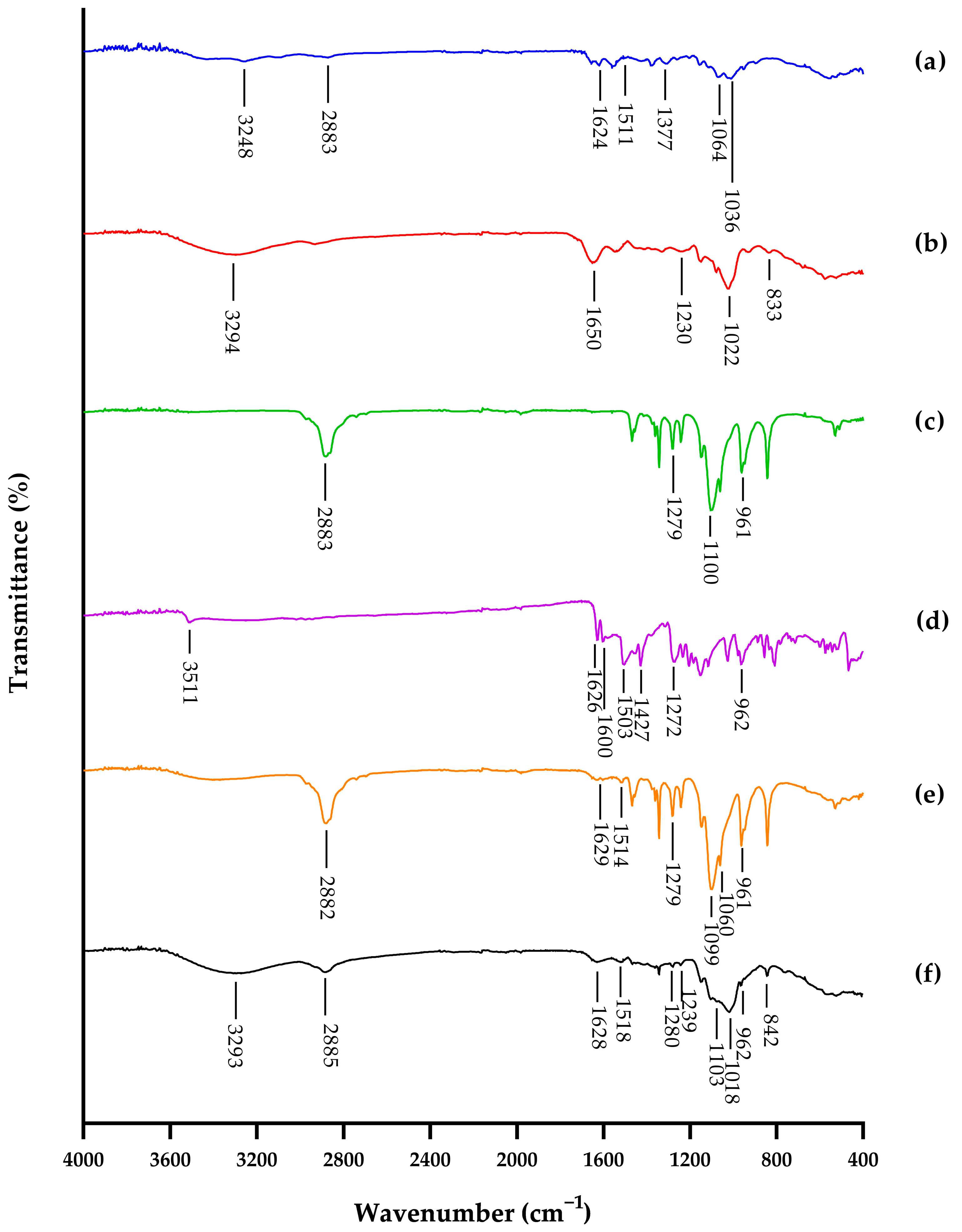 Polymers 15 00834 g005