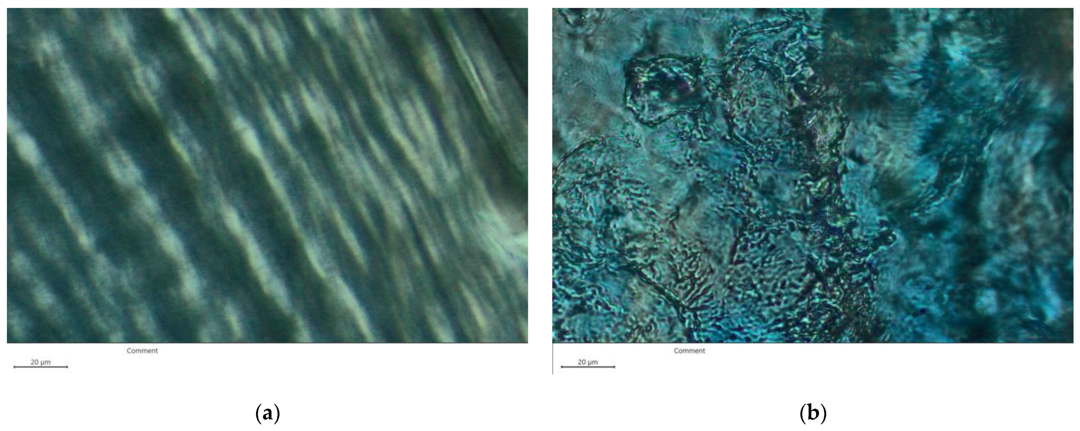Polymers 15 00841 g005 550