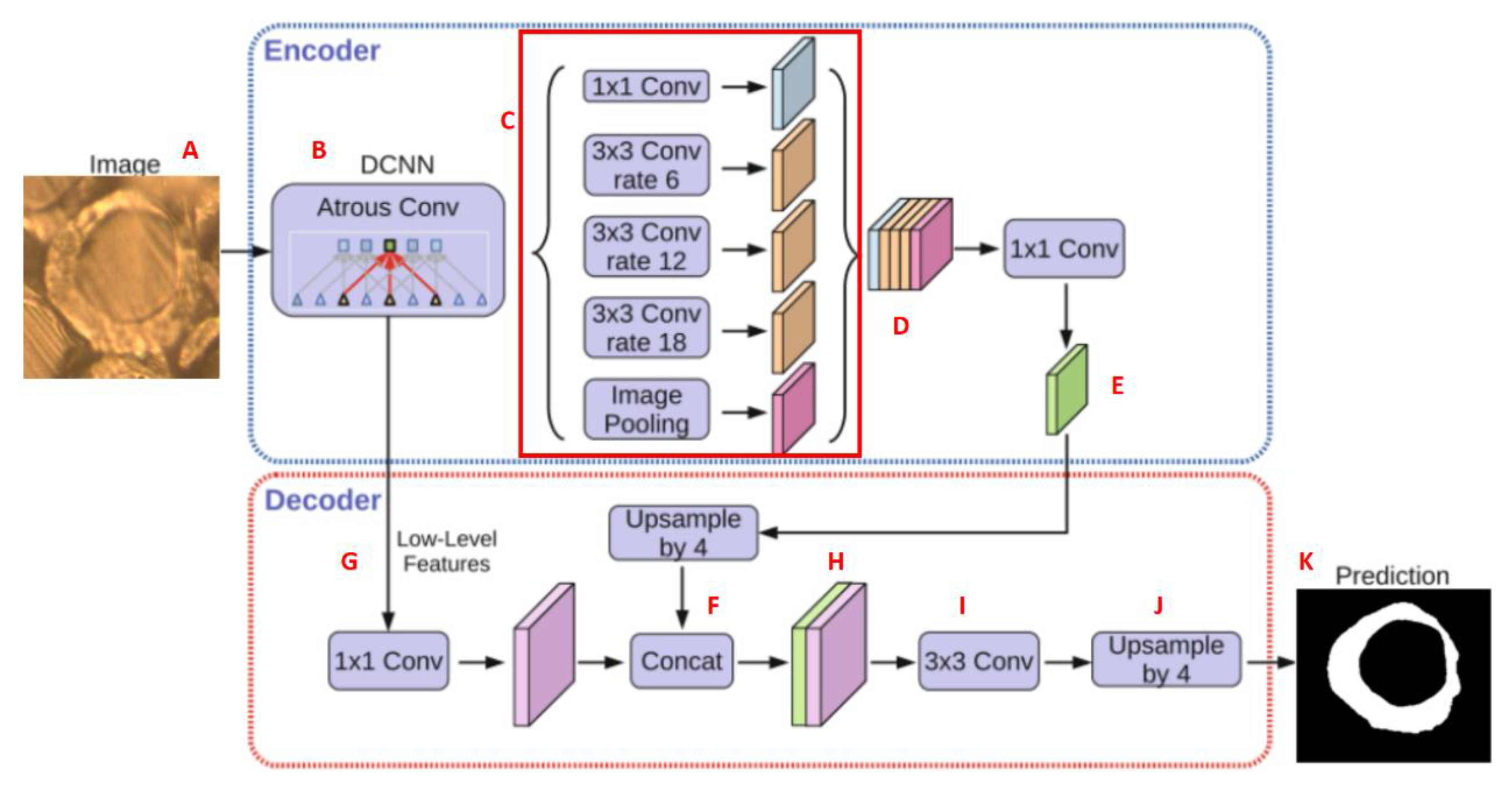 Polymers 15 00842 g007