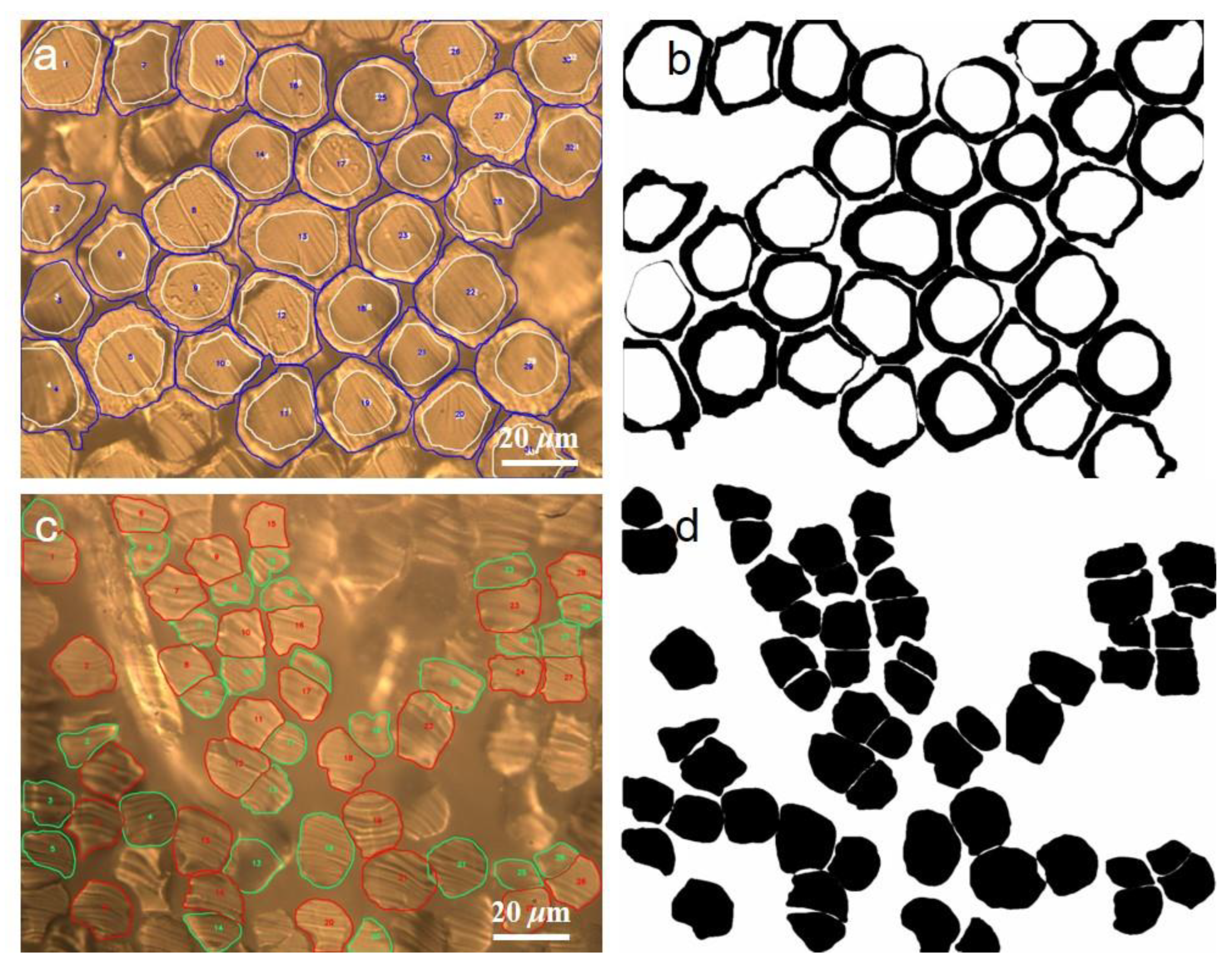Polymers 15 00842 g008