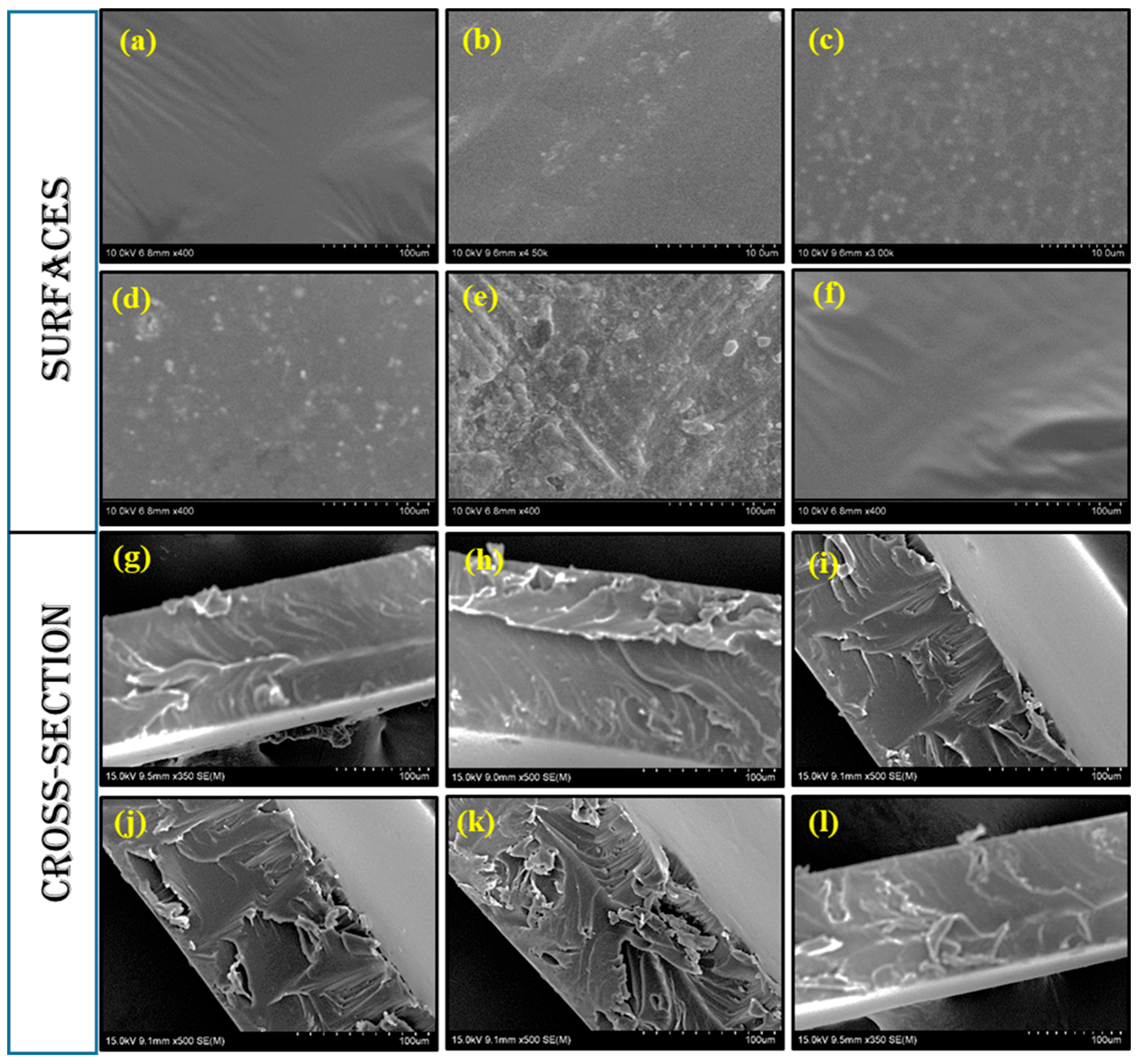 Polymers 15 00849 g004