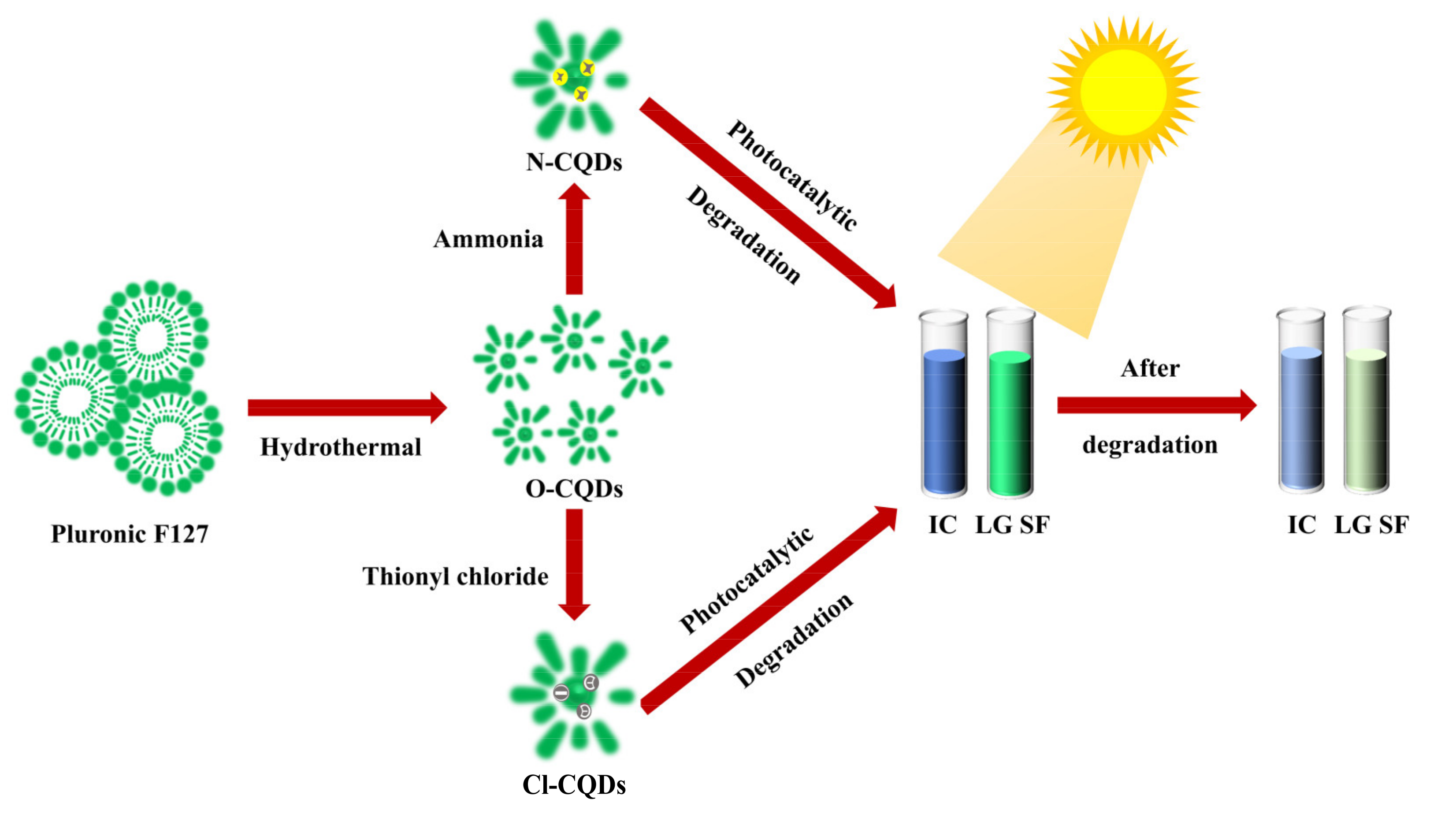Polymers 15 00850 g001
