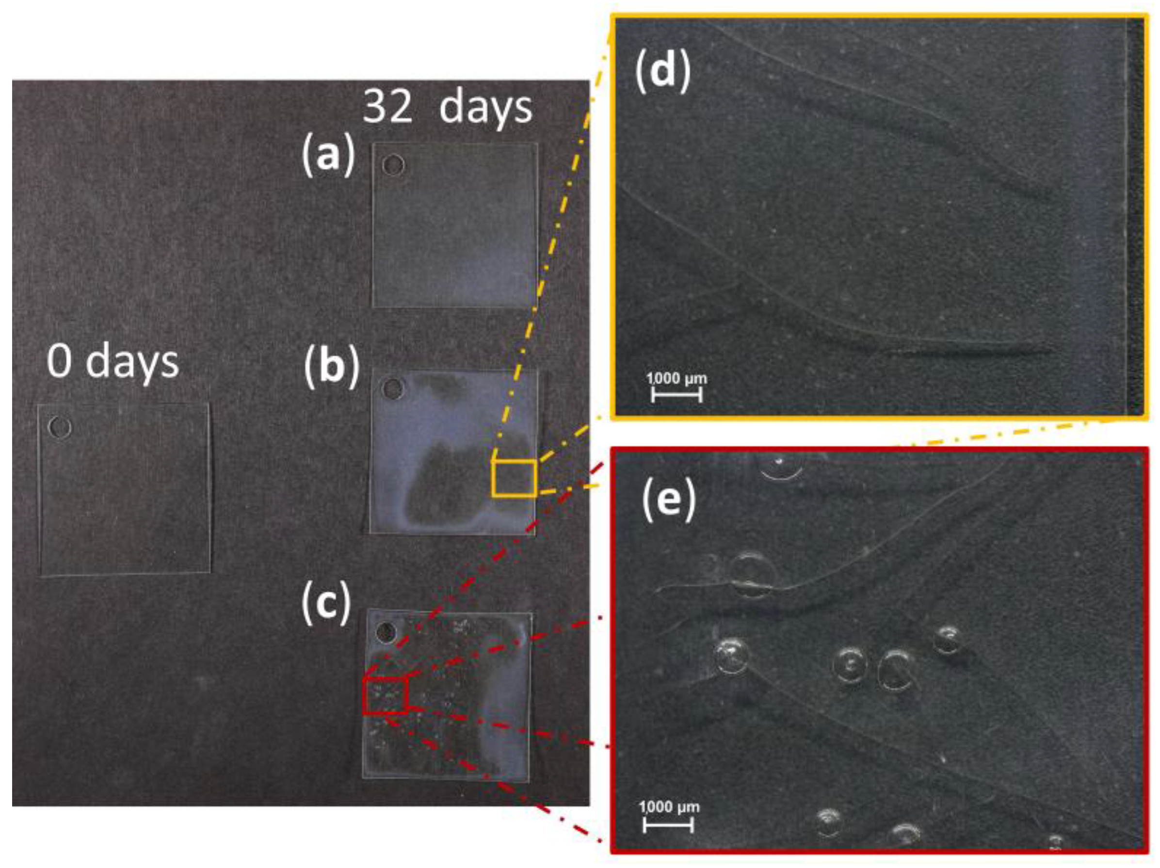 Polymers 15 00852 g006