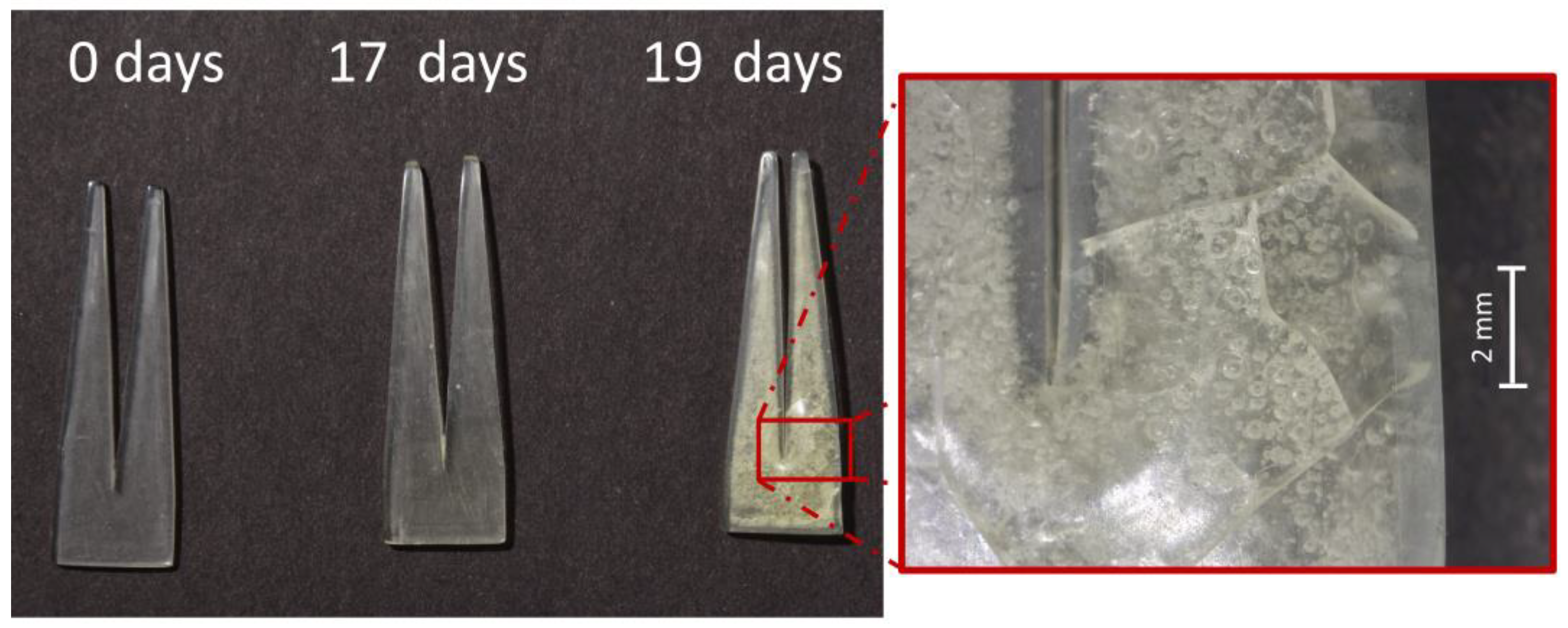 Polymers 15 00852 g007