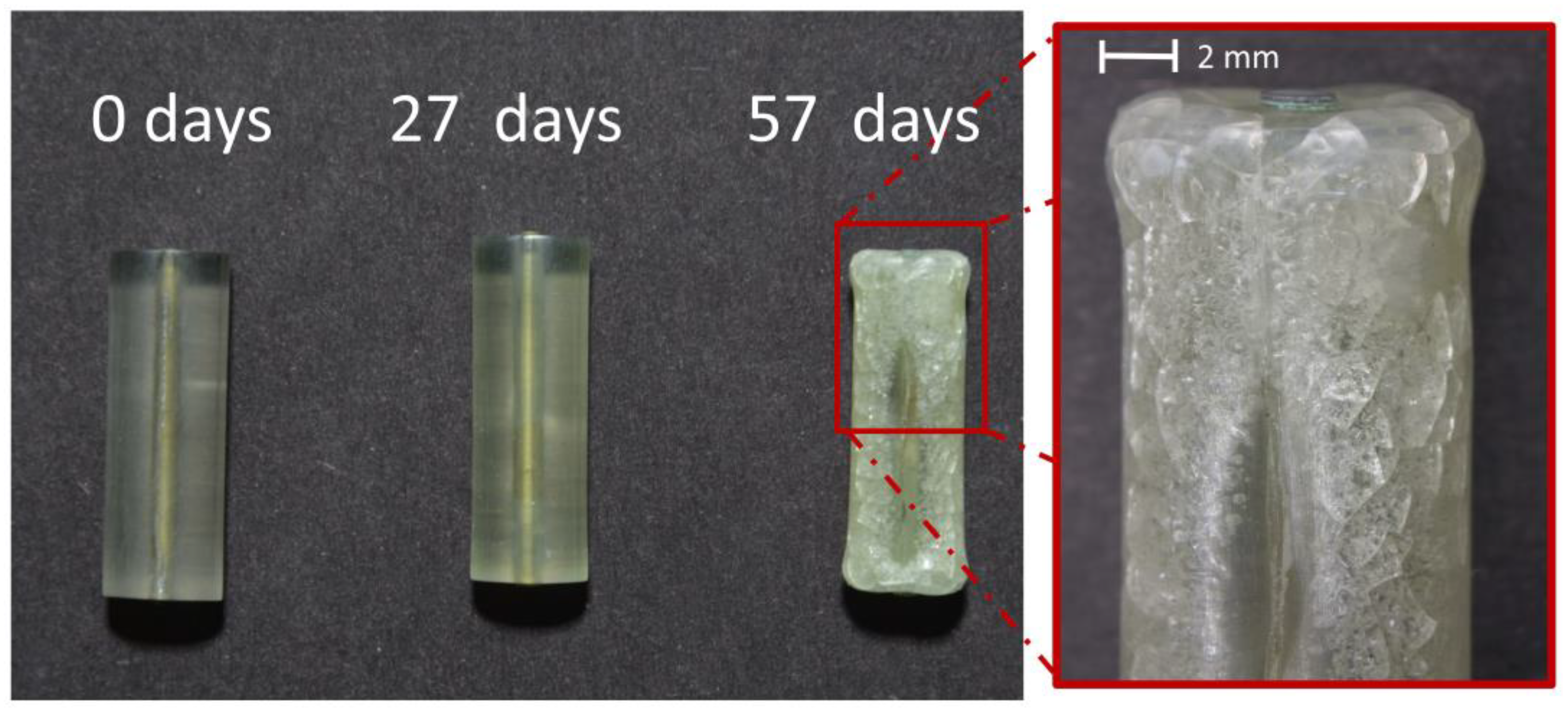 Polymers 15 00852 g008