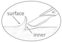 Polymers 15 00852 i009