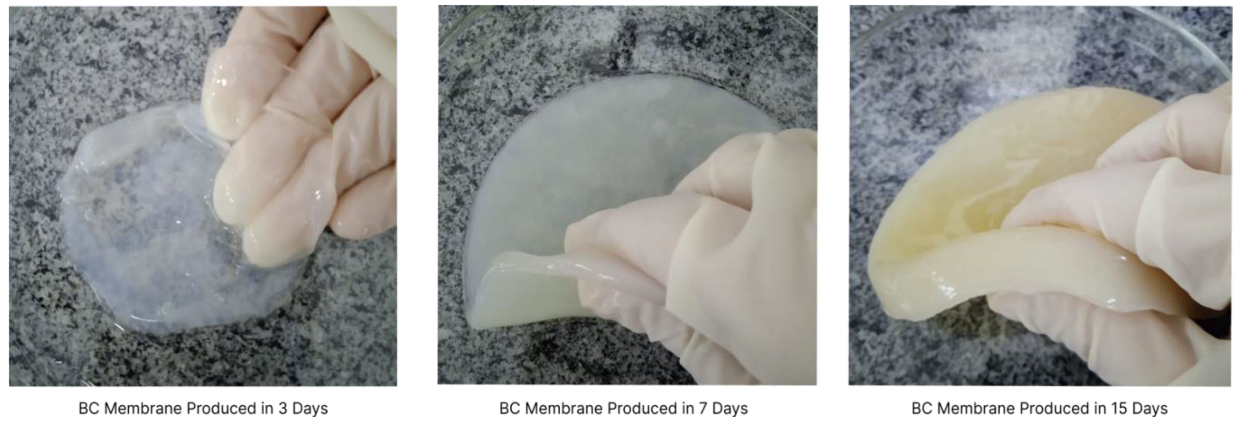 Polymers 15 00853 g001 Polymers 15 00853 g001