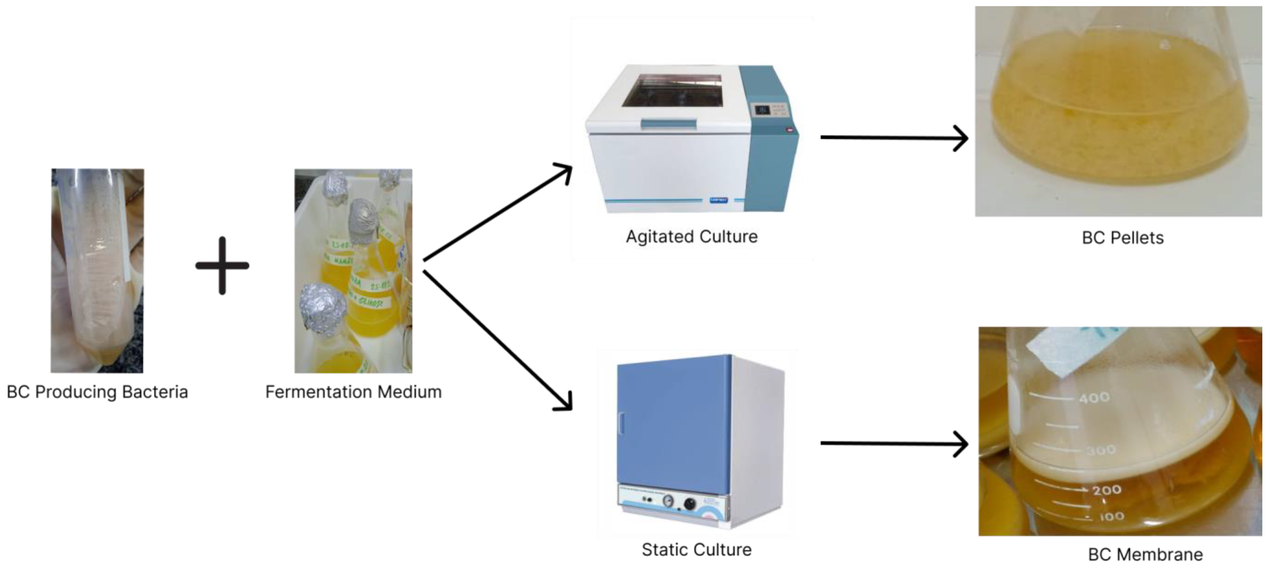 Polymers 15 00853 g002 Polymers 15 00853 g002
