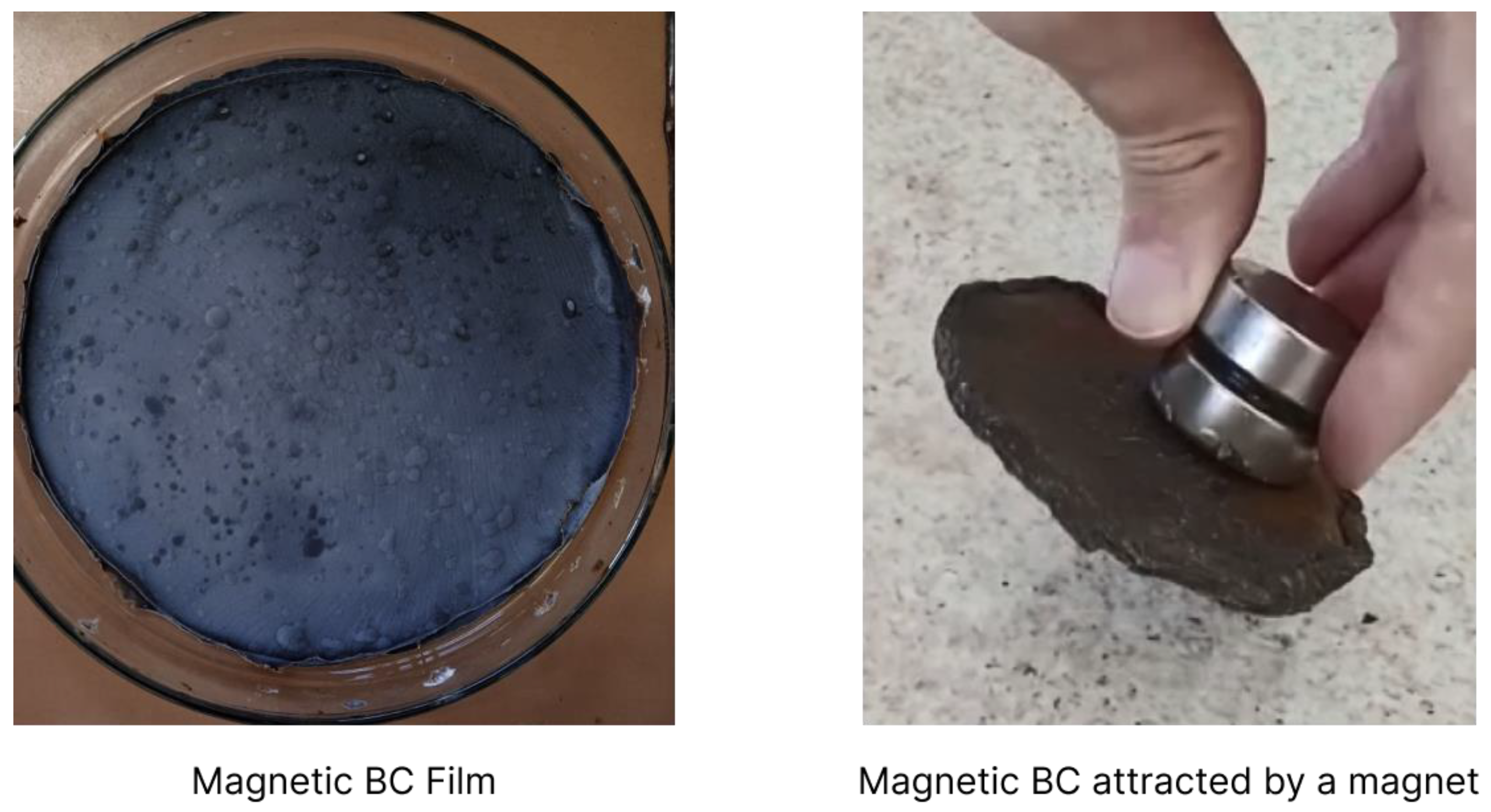 Polymers 15 00853 g003 Polymers 15 00853 g003