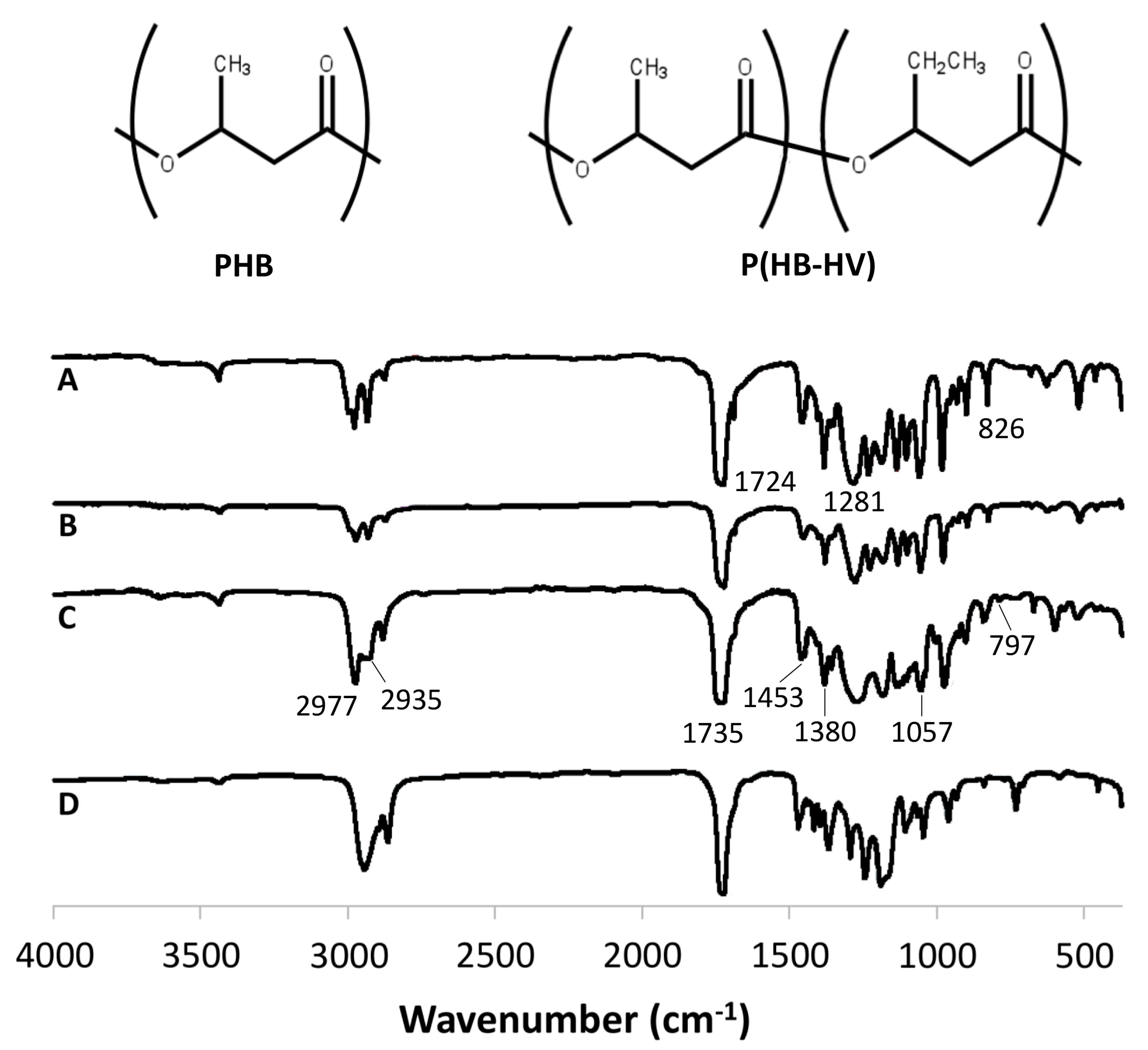 Polymers 15 00855 g001 Polymers 15 00855 g001