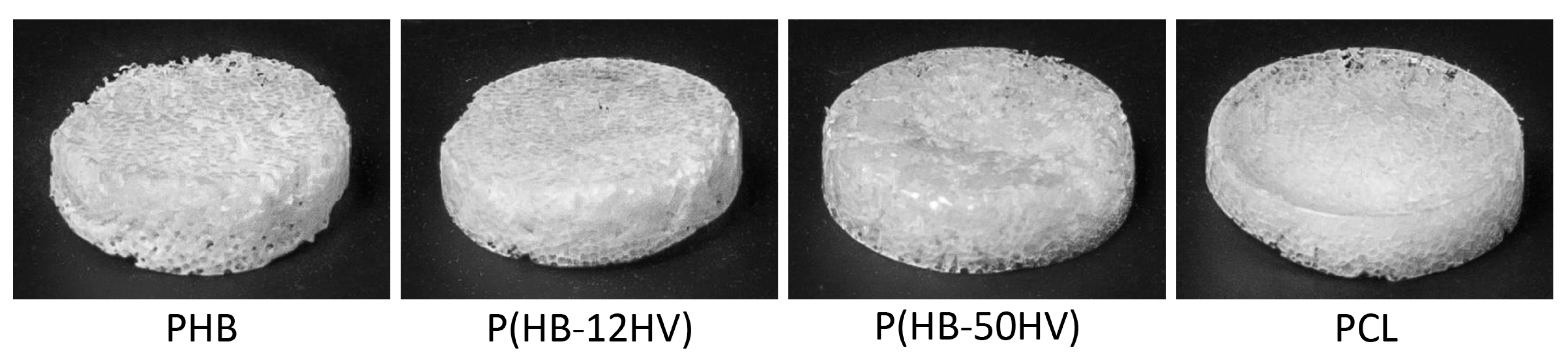 Polymers 15 00855 g002 Polymers 15 00855 g002