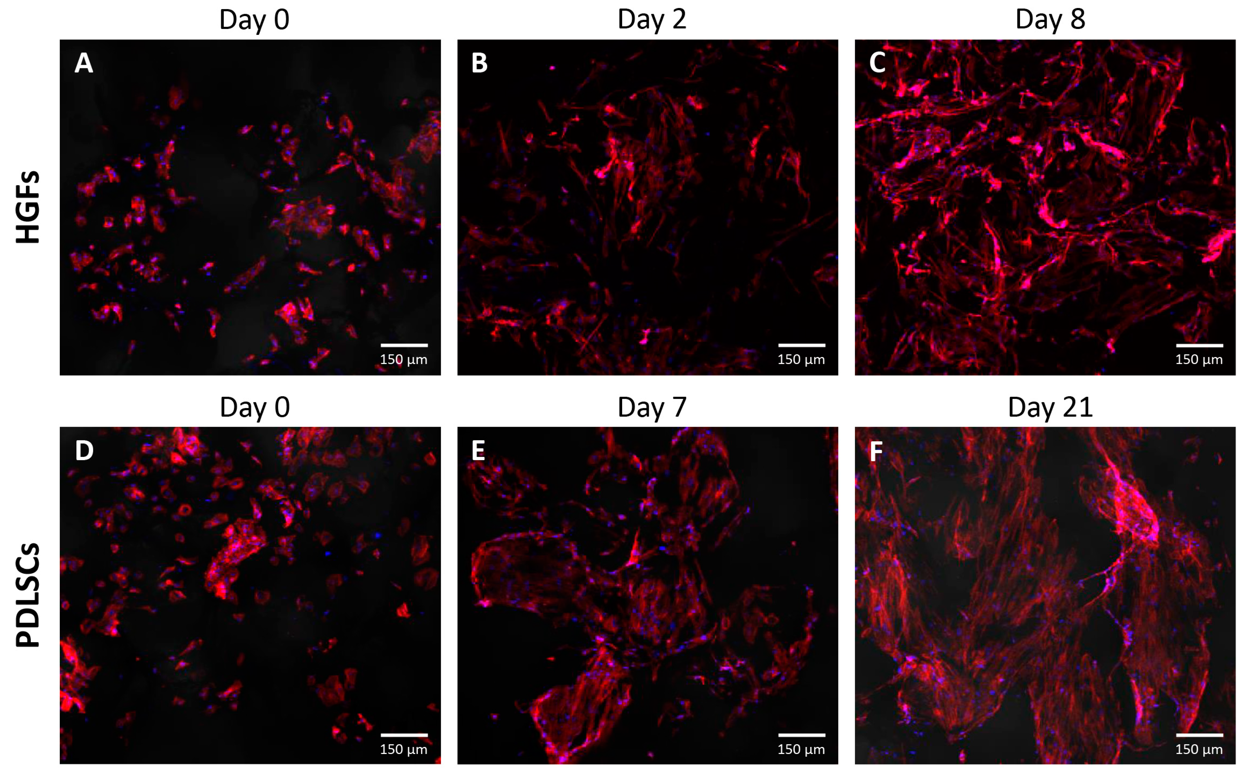 Polymers 15 00855 g007 Polymers 15 00855 g007