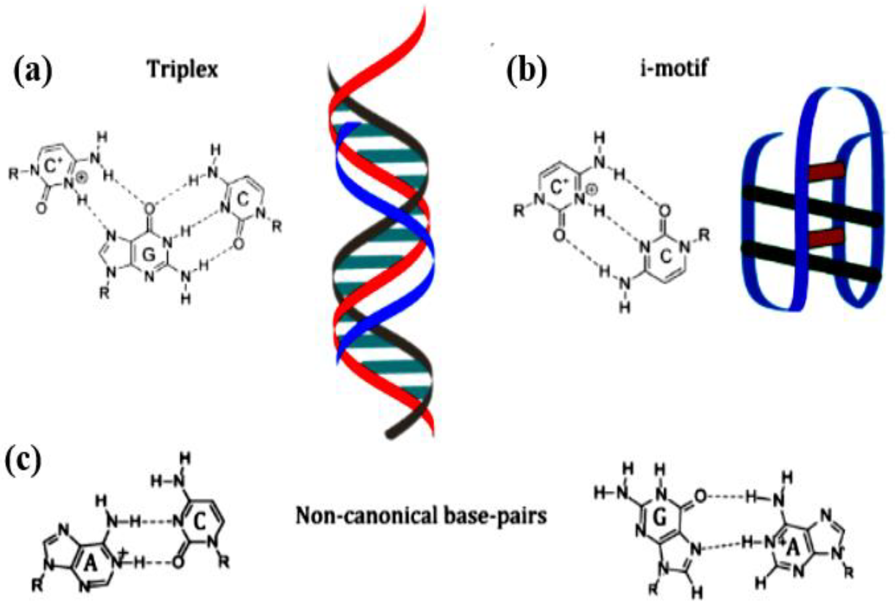 Polymers 15 00858 g003