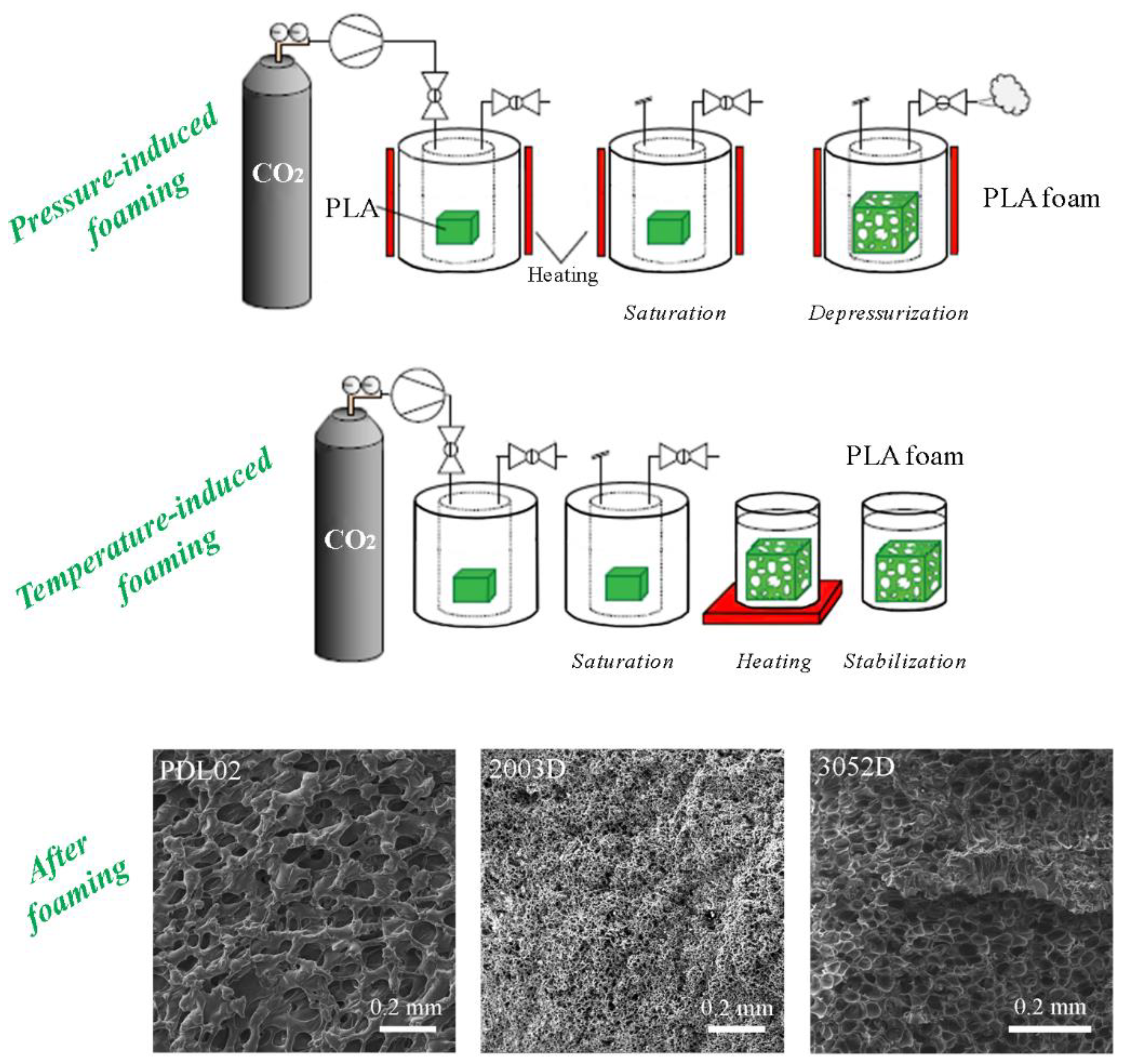 Polymers 15 00860 g003 550