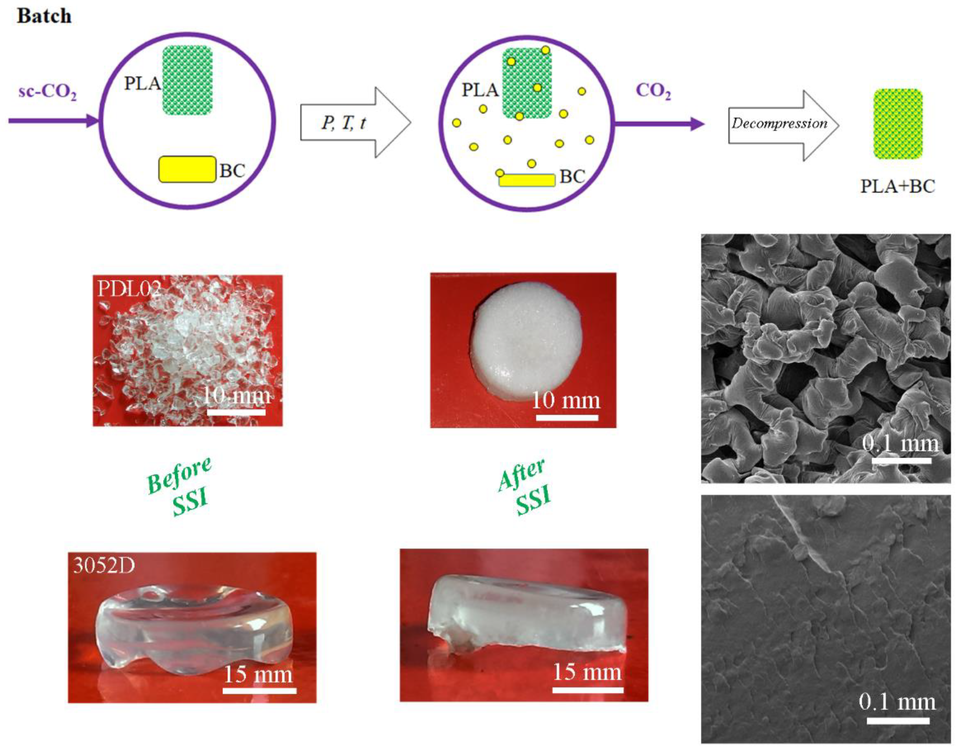 Polymers 15 00860 g005 550