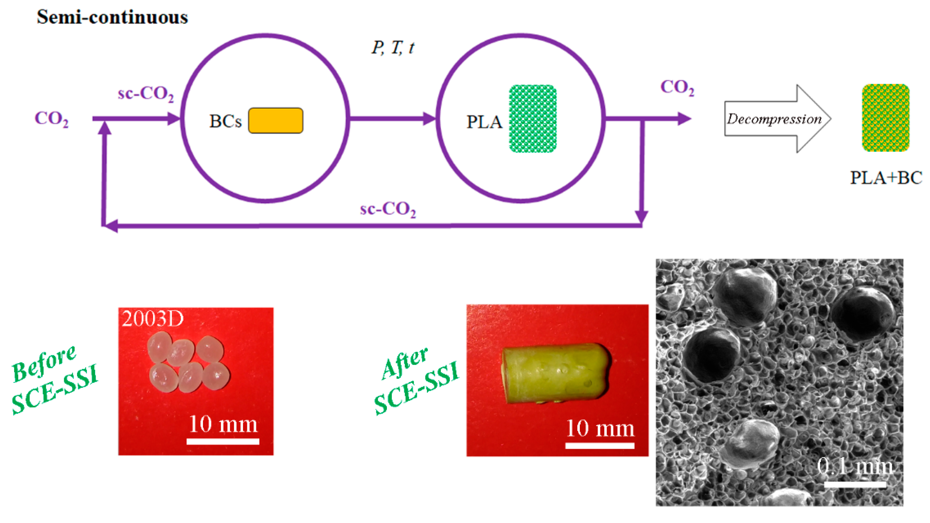 Polymers 15 00860 g007 550