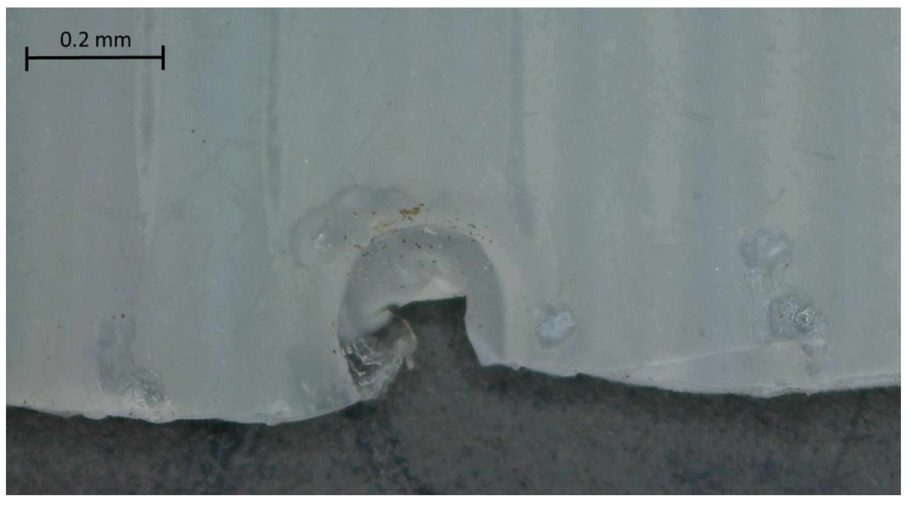 Polymers 15 00862 g003 550