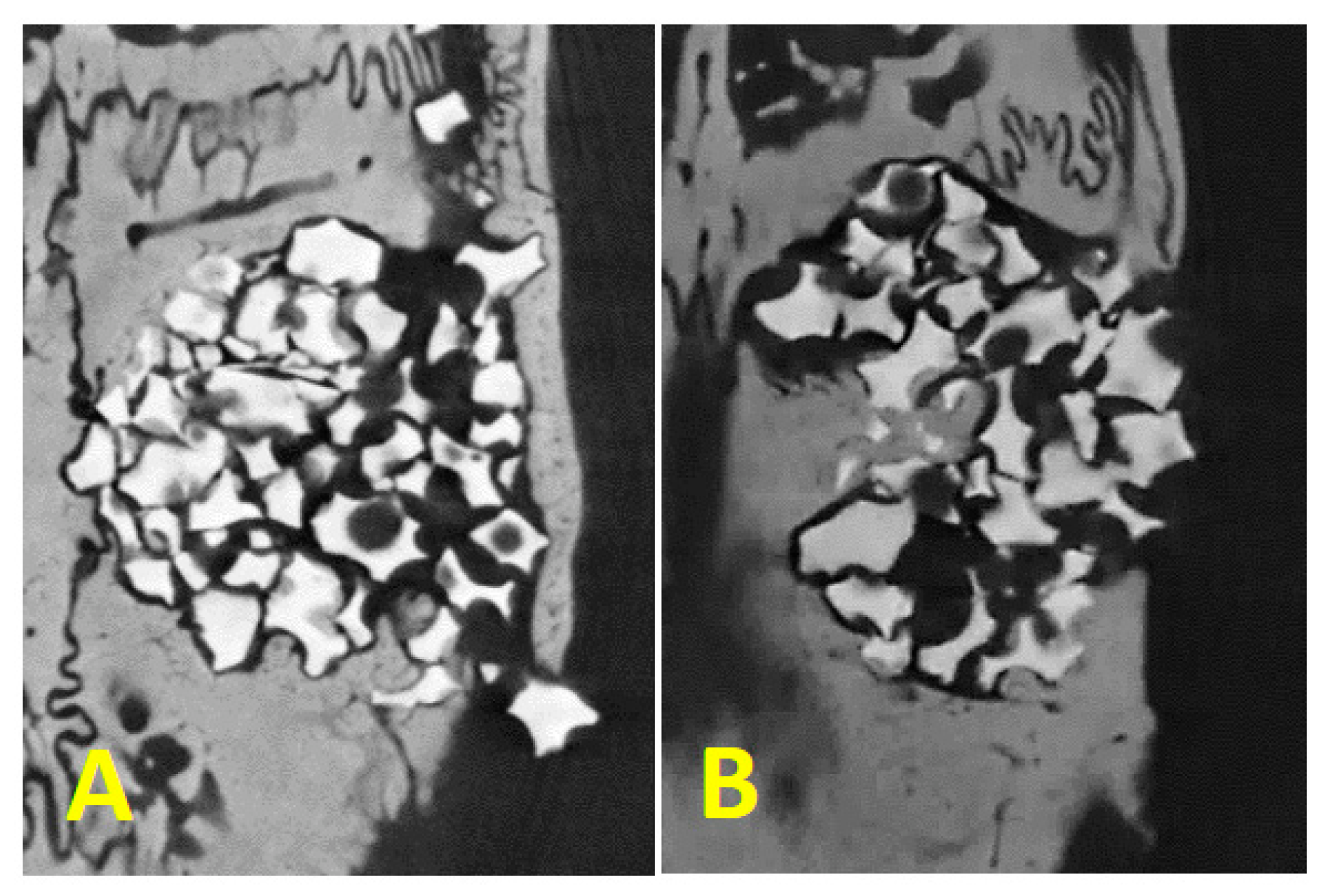 Polymers 15 00868 g007