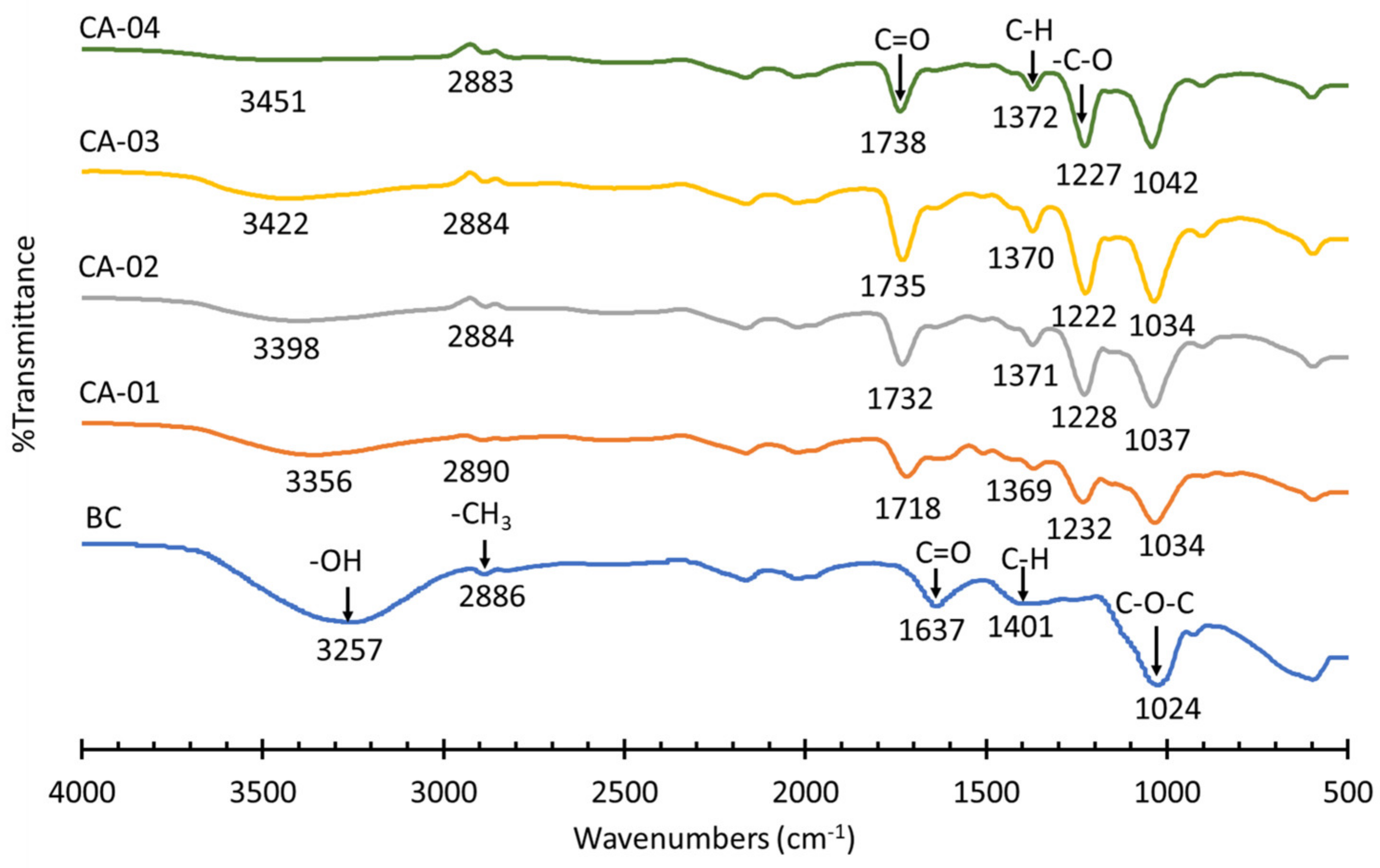 Polymers 15 00870 g002