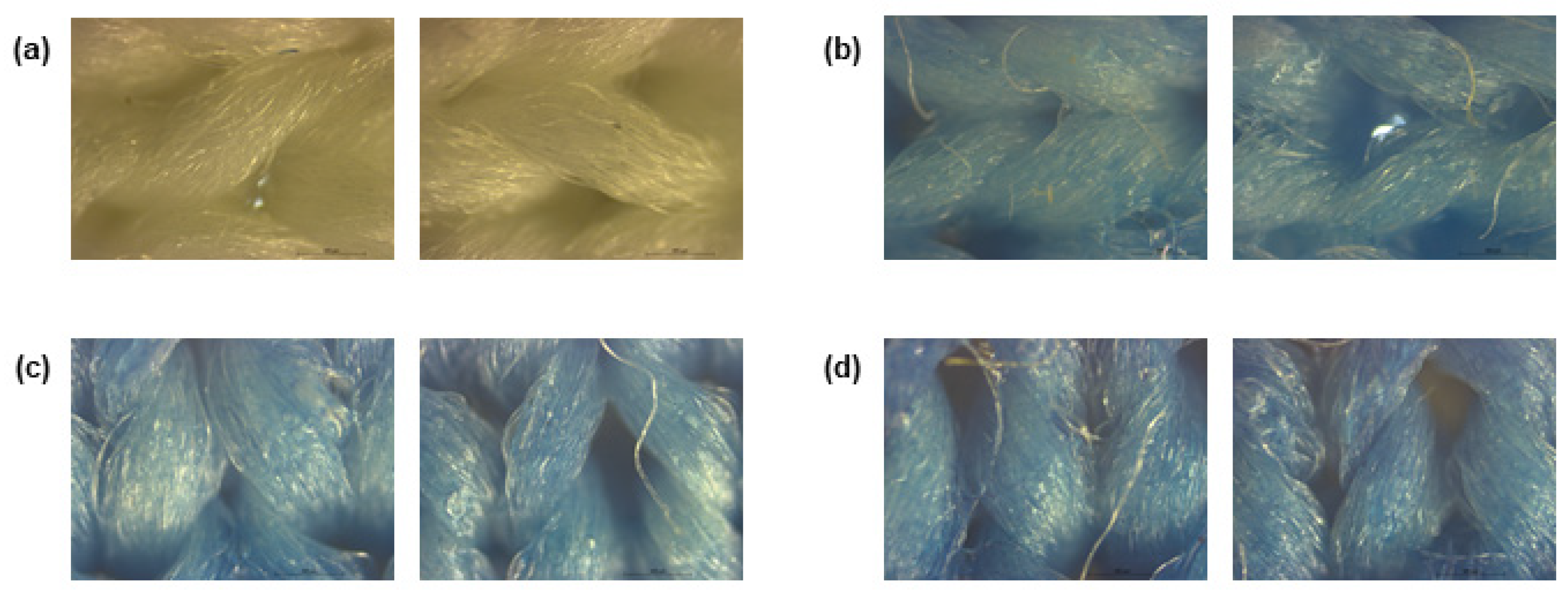 Polymers 15 00872 g001 Polymers 15 00872 g001