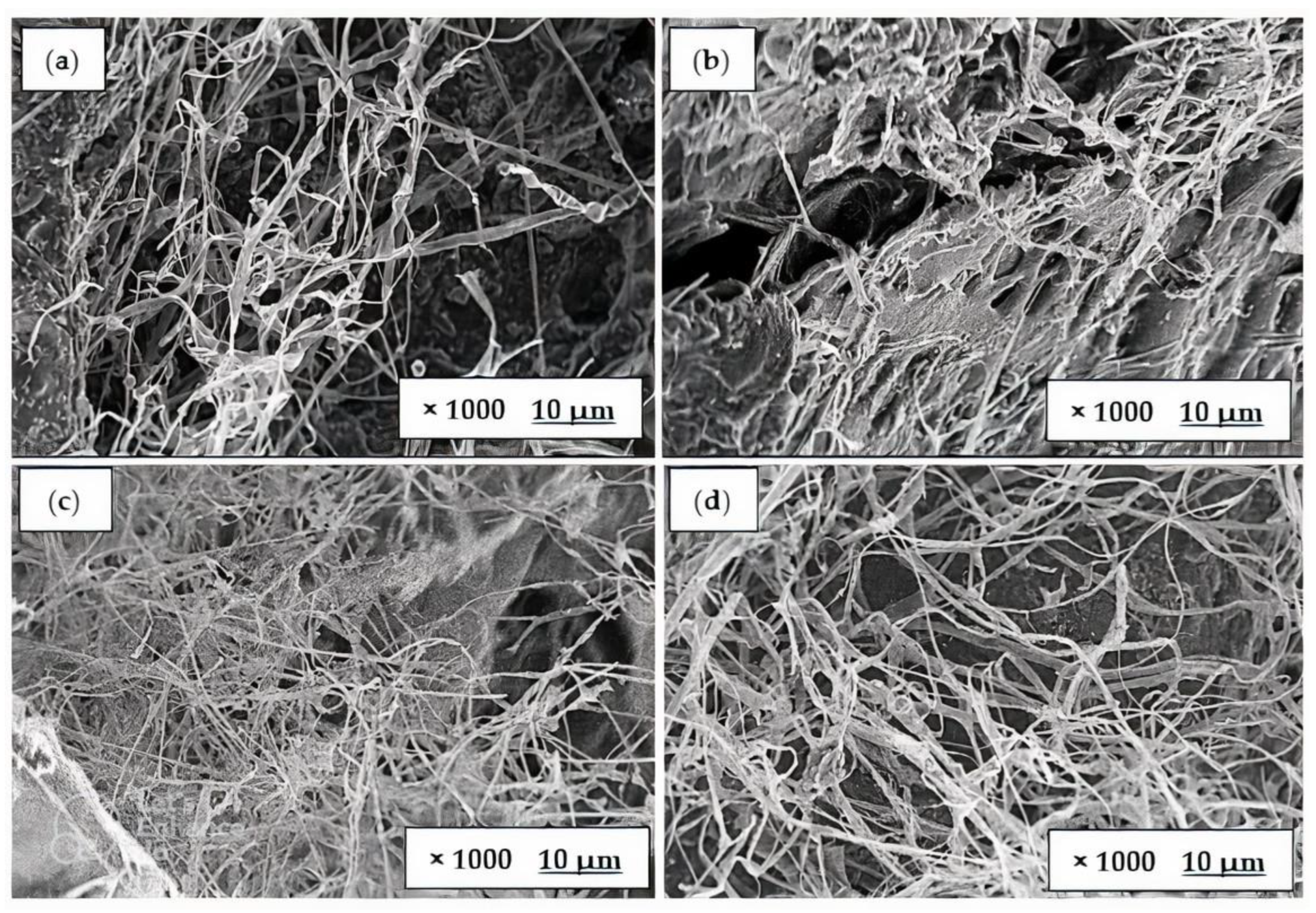 Polymers 15 00873 g005 Polymers 15 00873 g005
