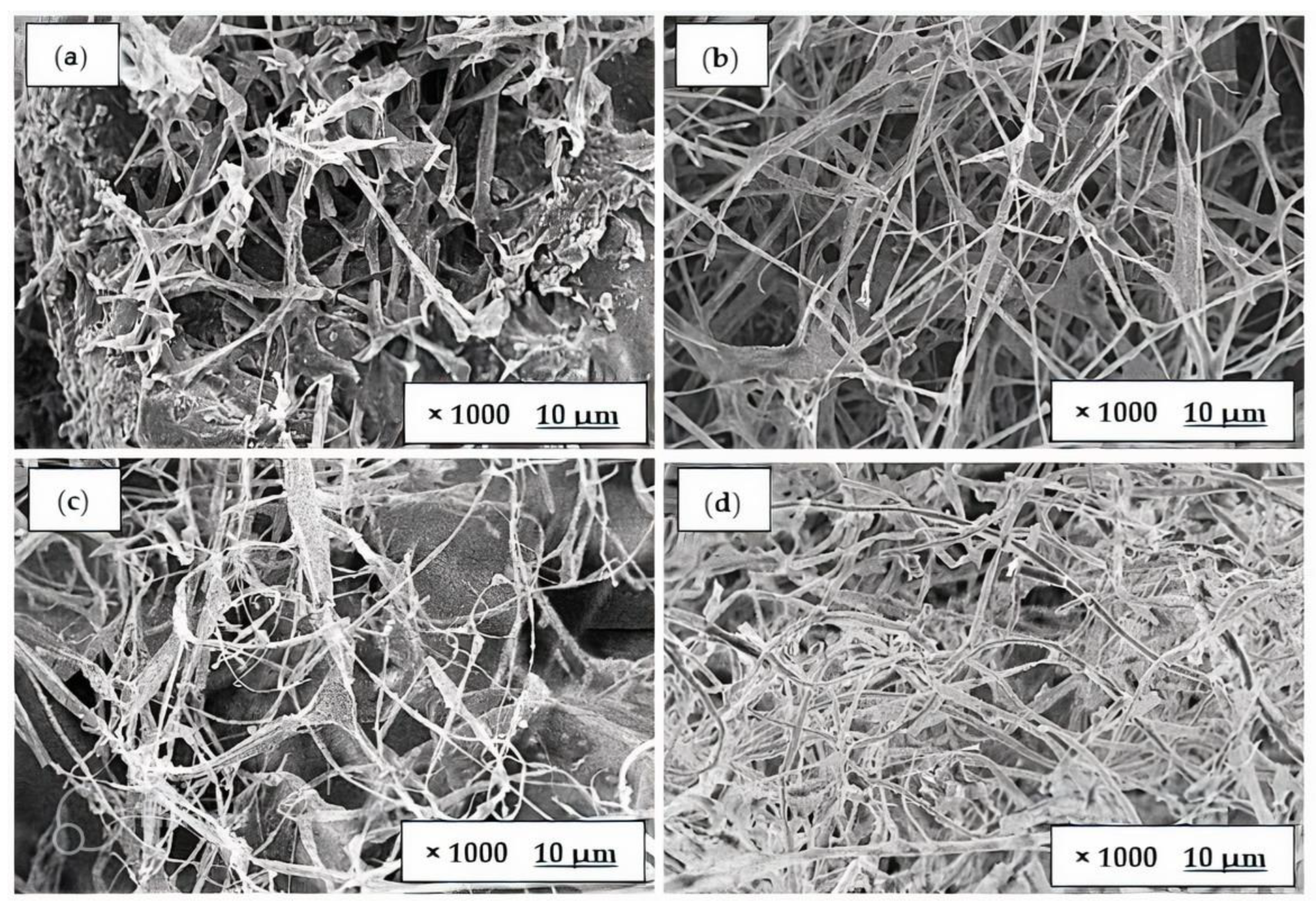 Polymers 15 00873 g006 Polymers 15 00873 g006