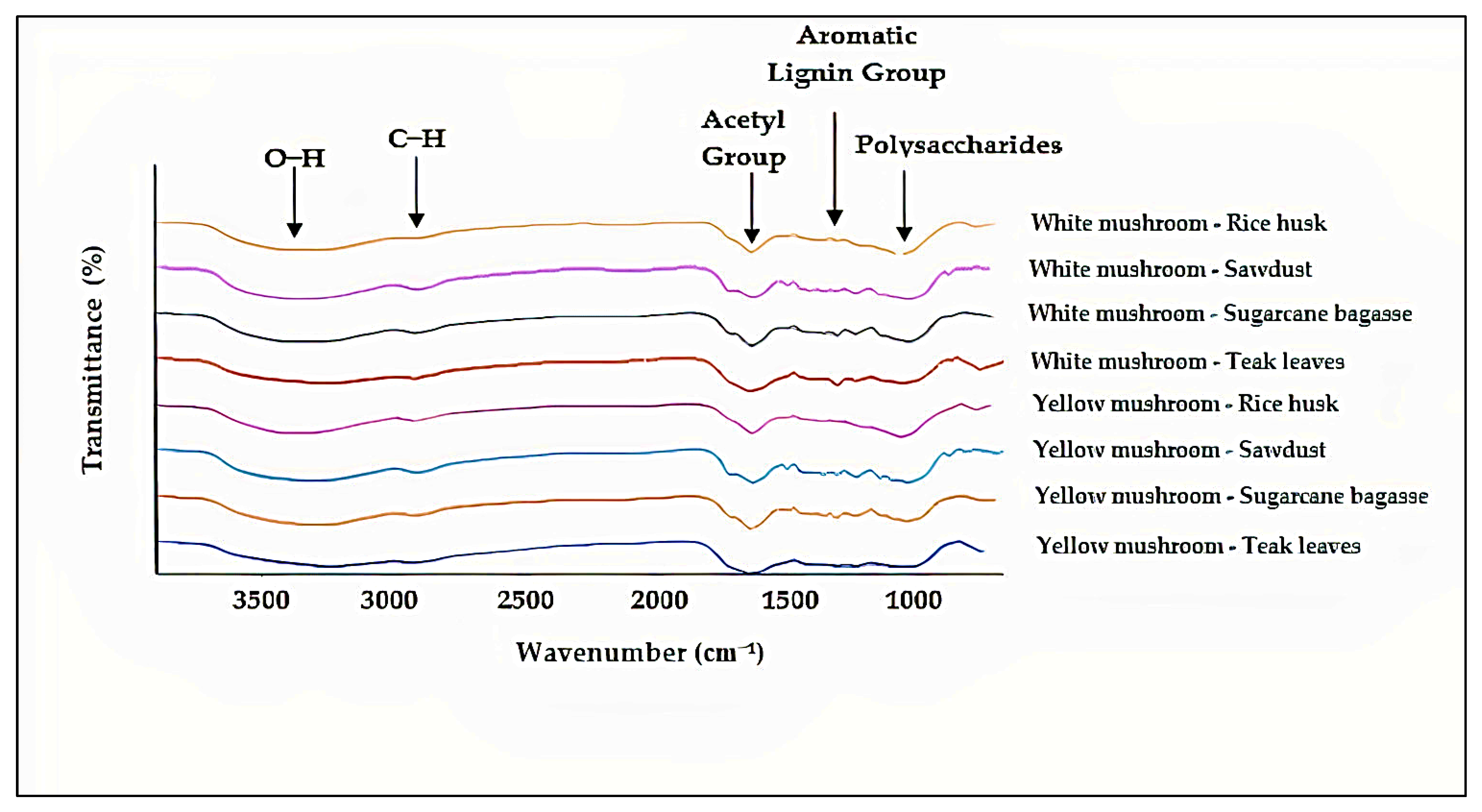 Polymers 15 00873 g007 Polymers 15 00873 g007