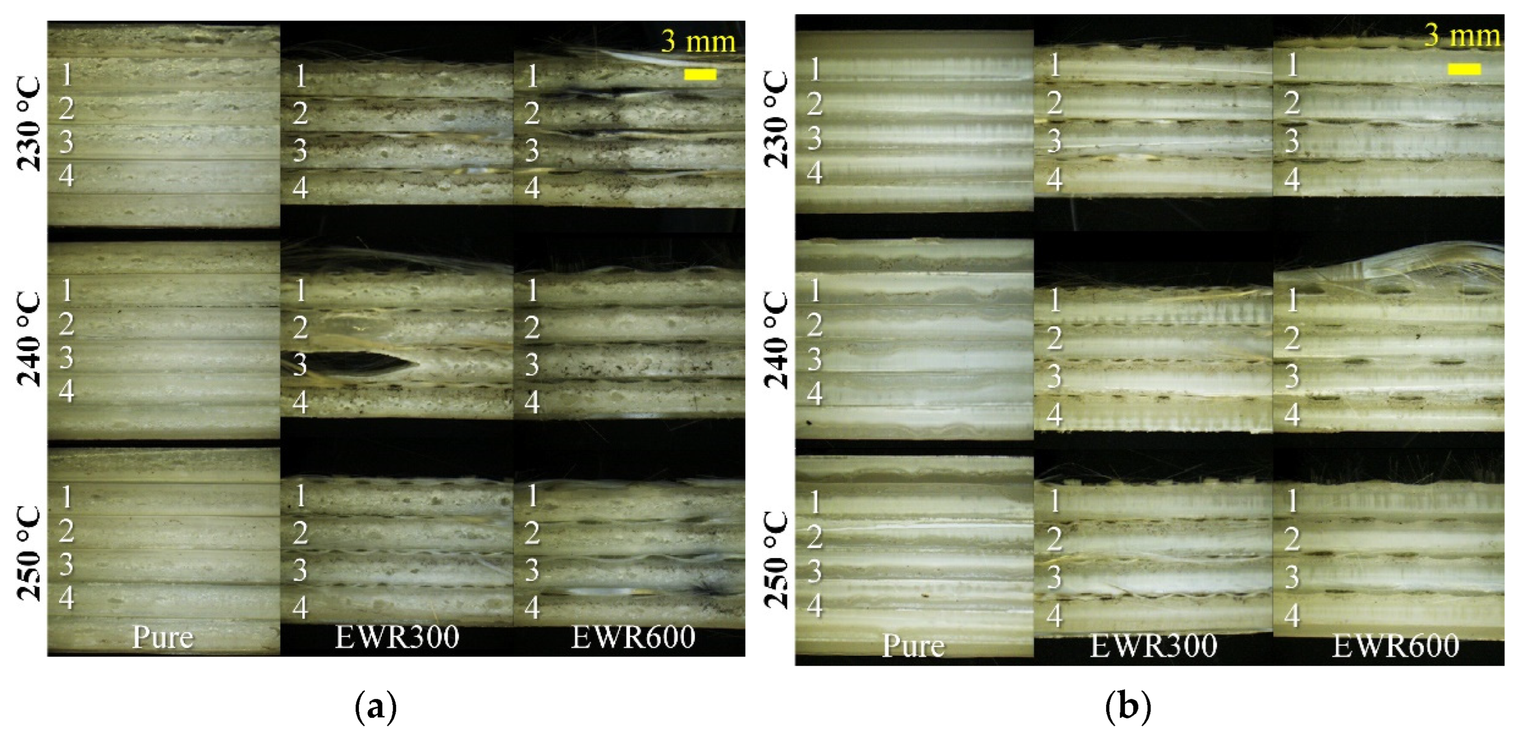 Polymers 15 00875 g006