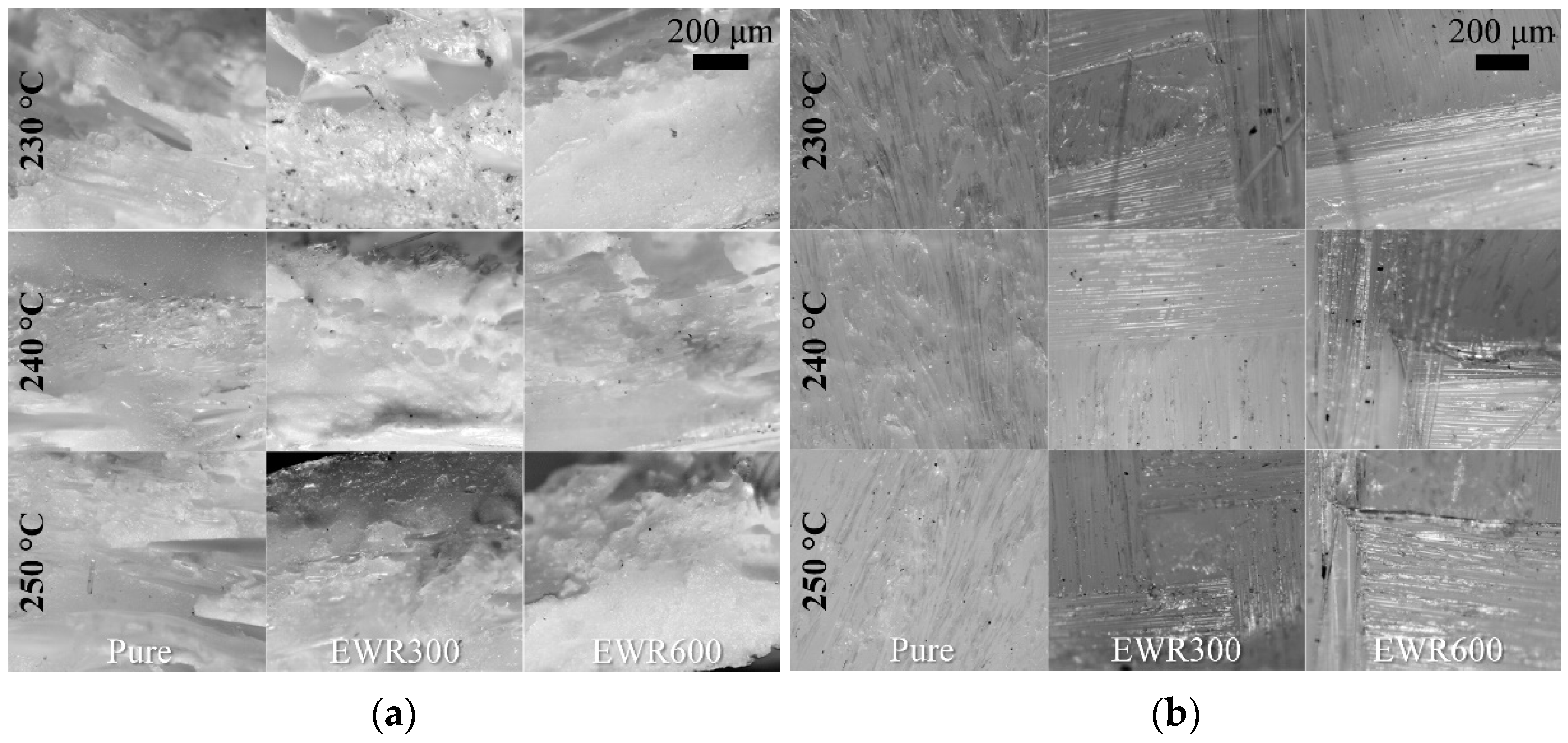 Polymers 15 00875 g008