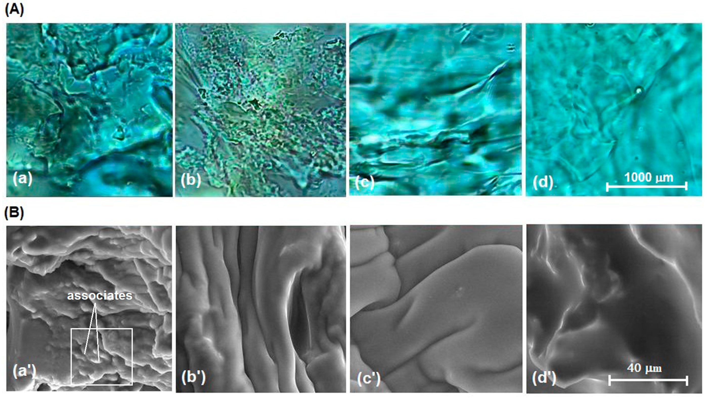 Polymers 15 00877 g008 Polymers 15 00877 g008