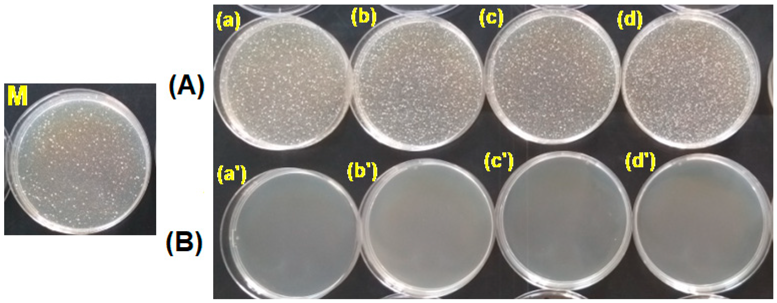 Polymers 15 00877 g012 Polymers 15 00877 g012