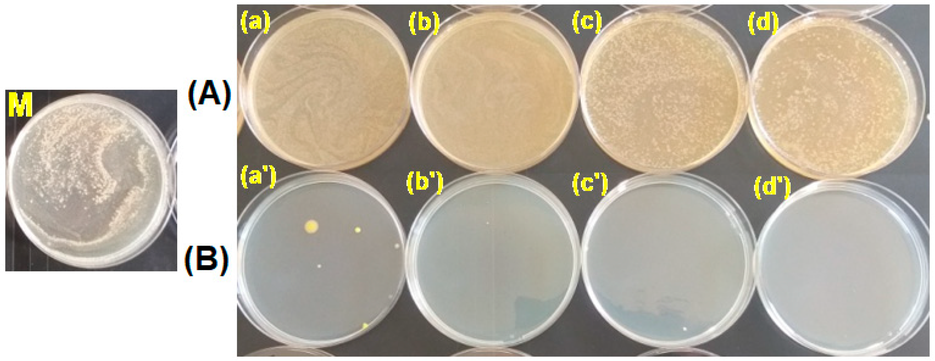 Polymers 15 00877 g013 Polymers 15 00877 g013