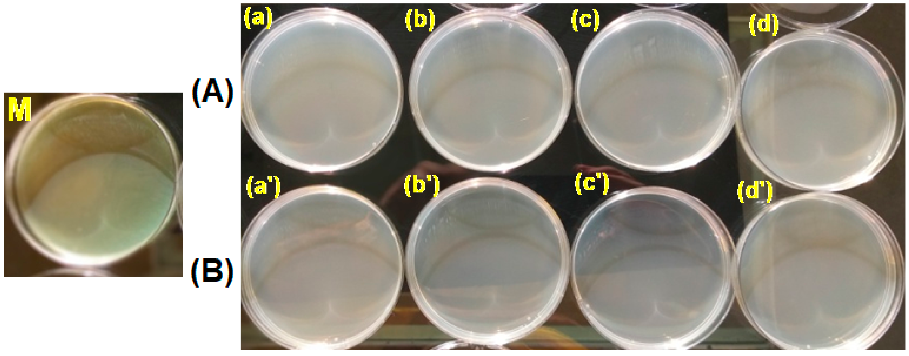 Polymers 15 00877 g014 Polymers 15 00877 g014