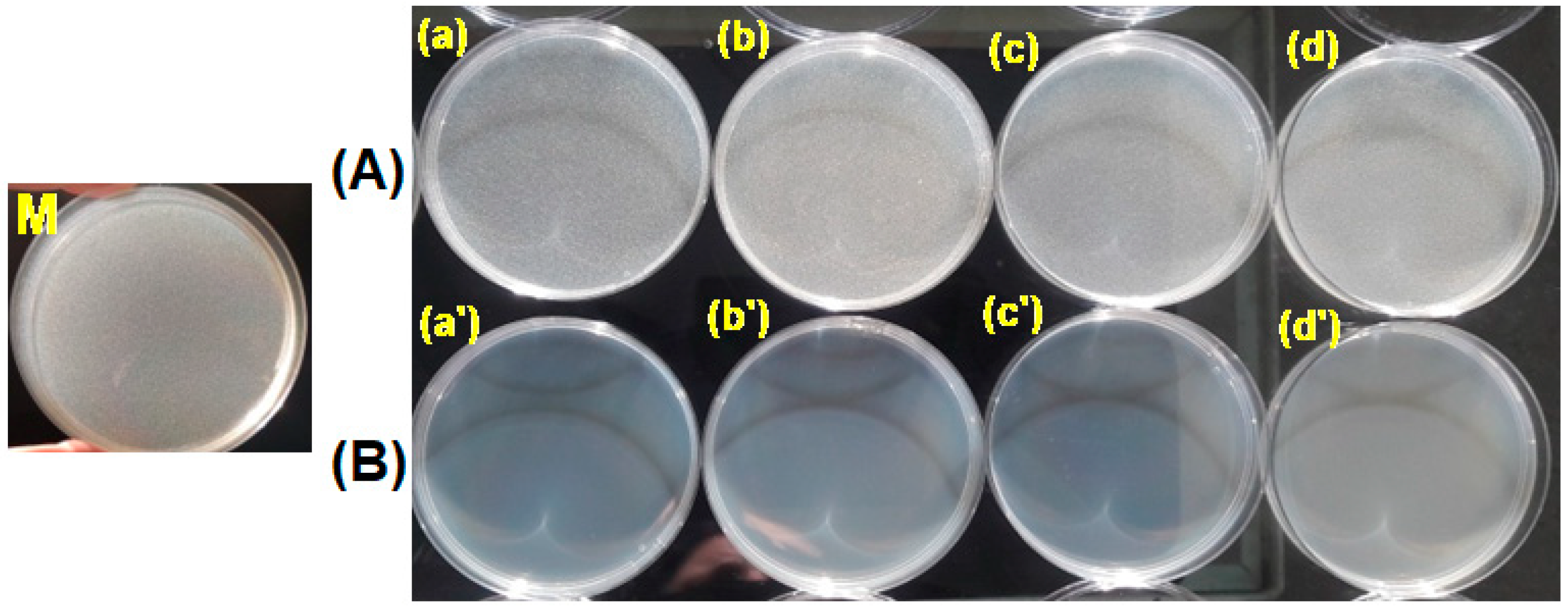 Polymers 15 00877 g015 Polymers 15 00877 g015