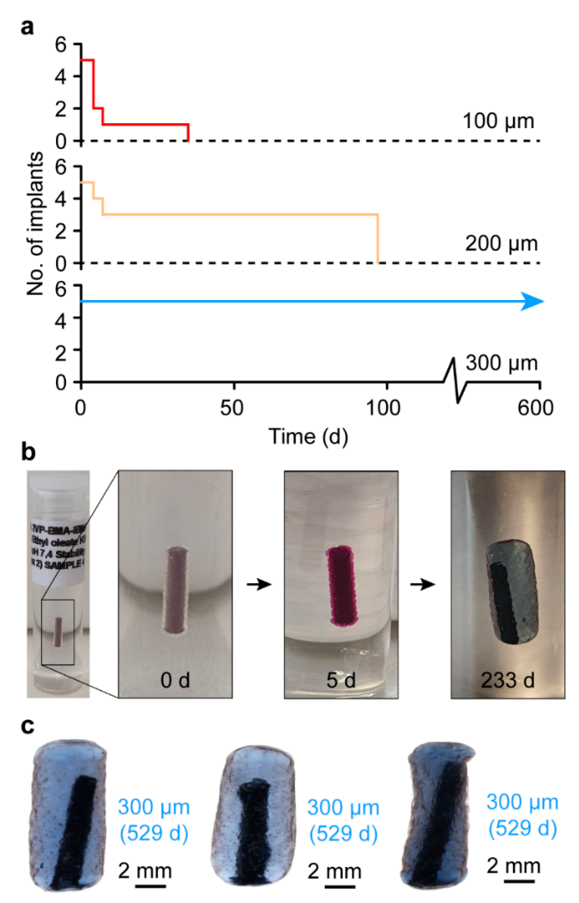 Polymers 15 00878 g005