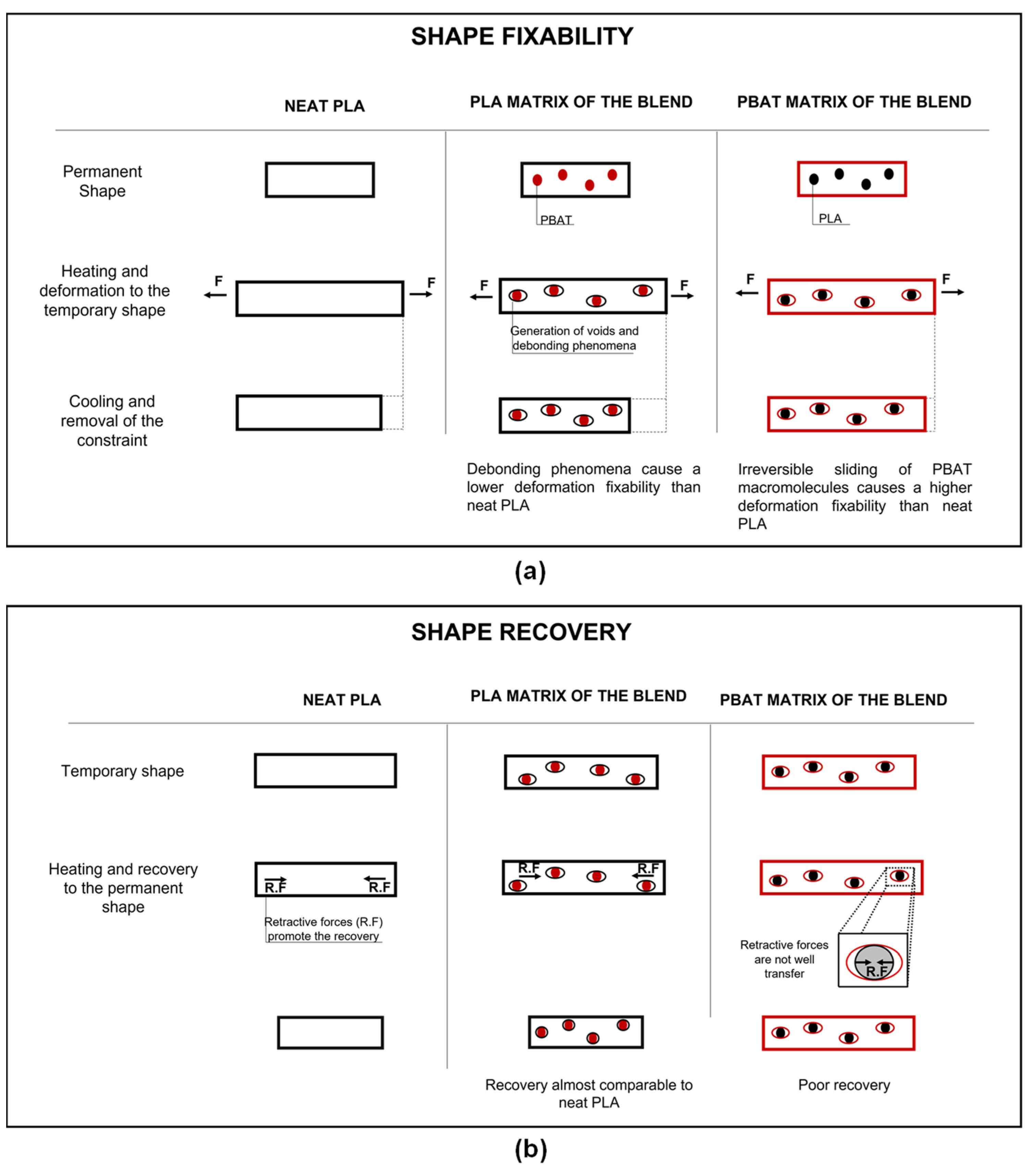 Polymers 15 00881 g010