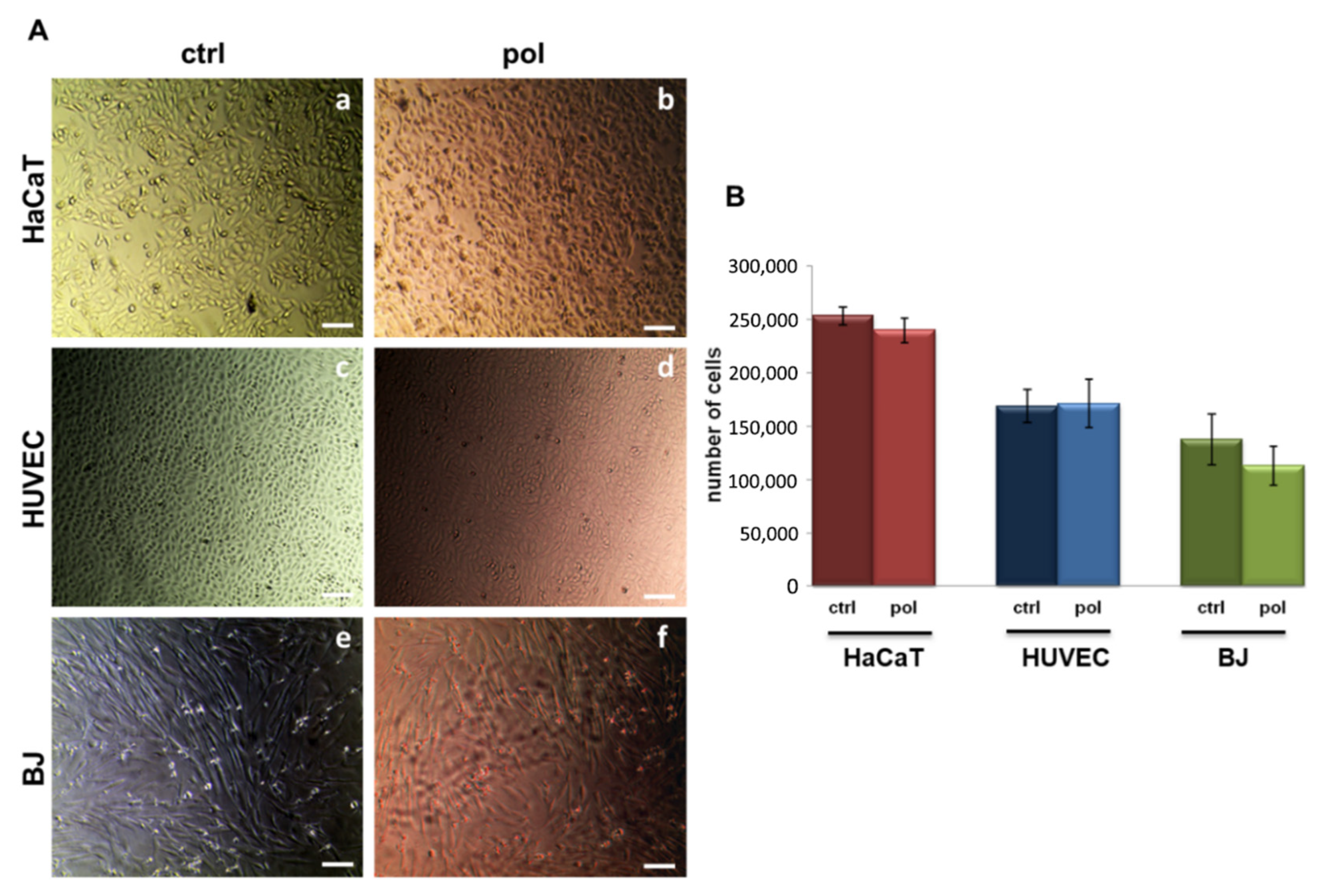 Polymers 15 00883 g005