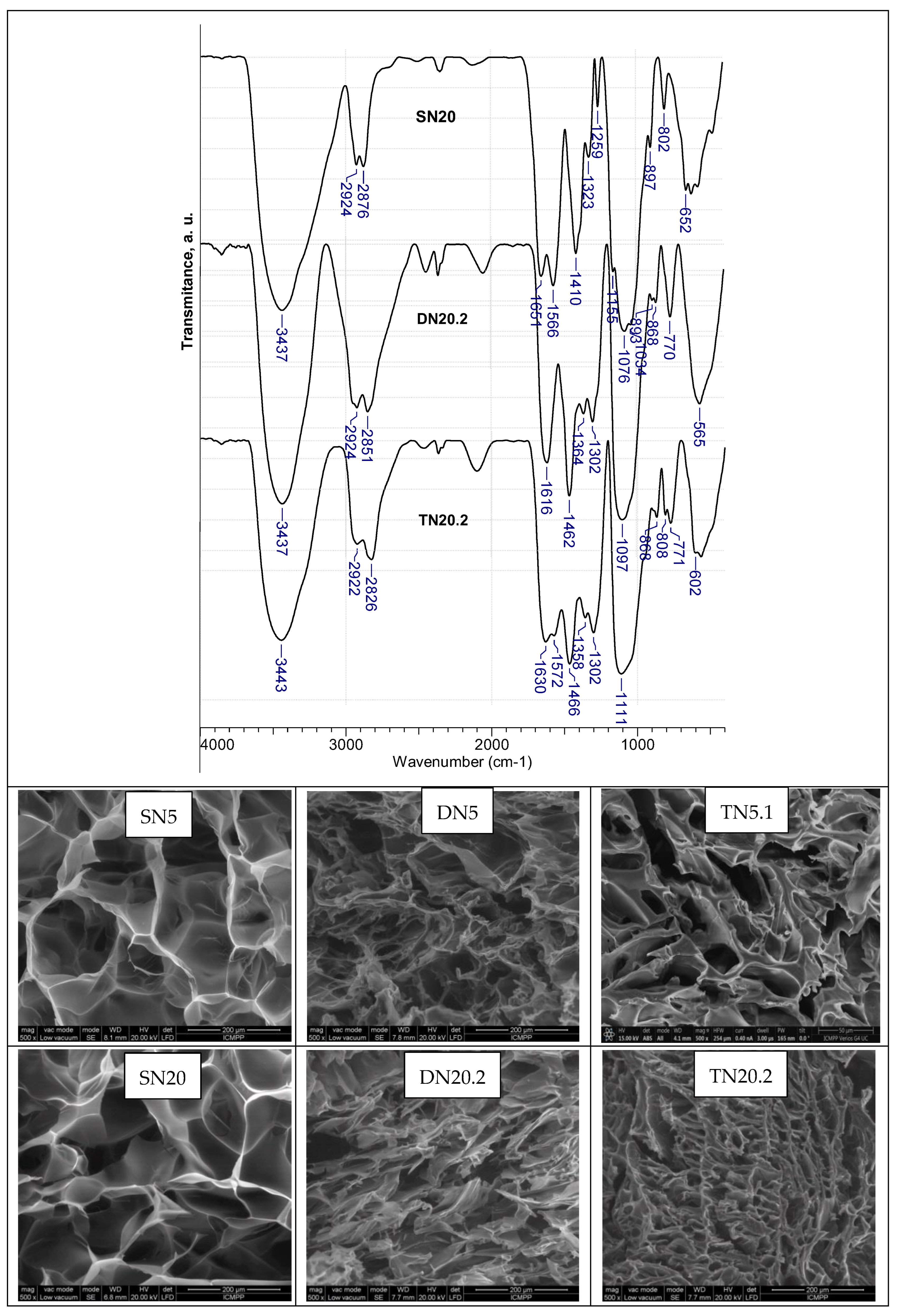 Polymers 15 00885 g002