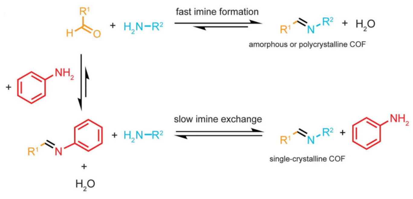 Polymers 15 00887 g005